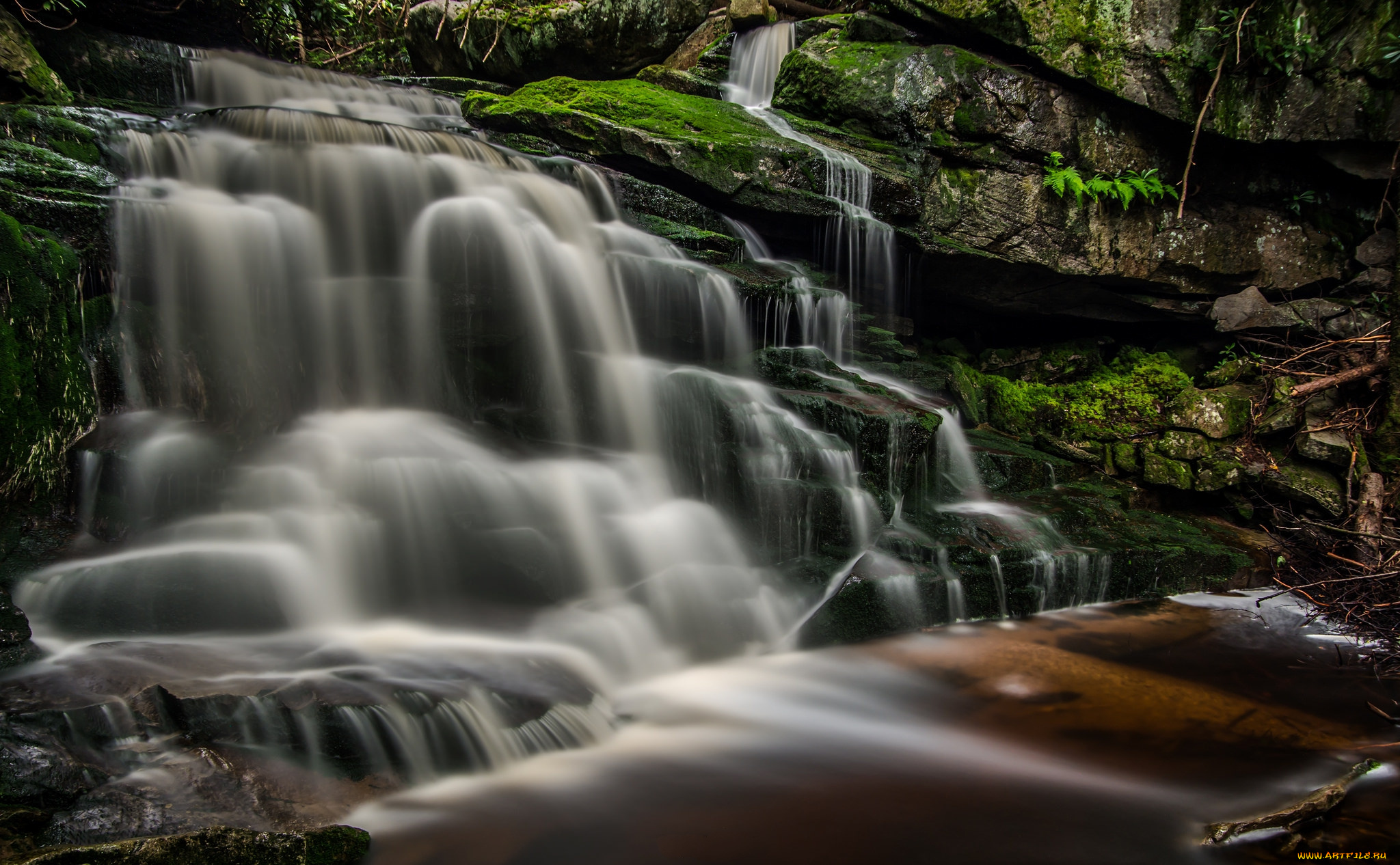 природа, водопады, лес, река, водопад