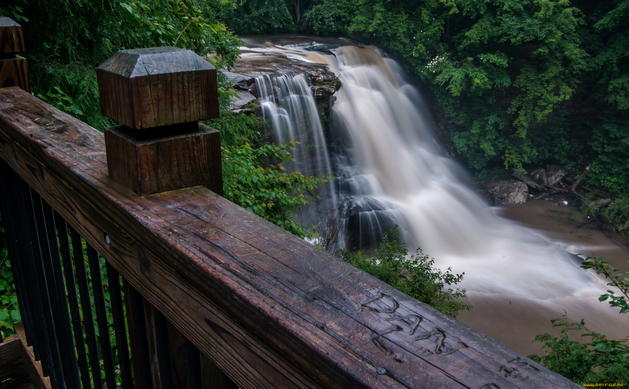 природа, водопады, лес, река, водопад