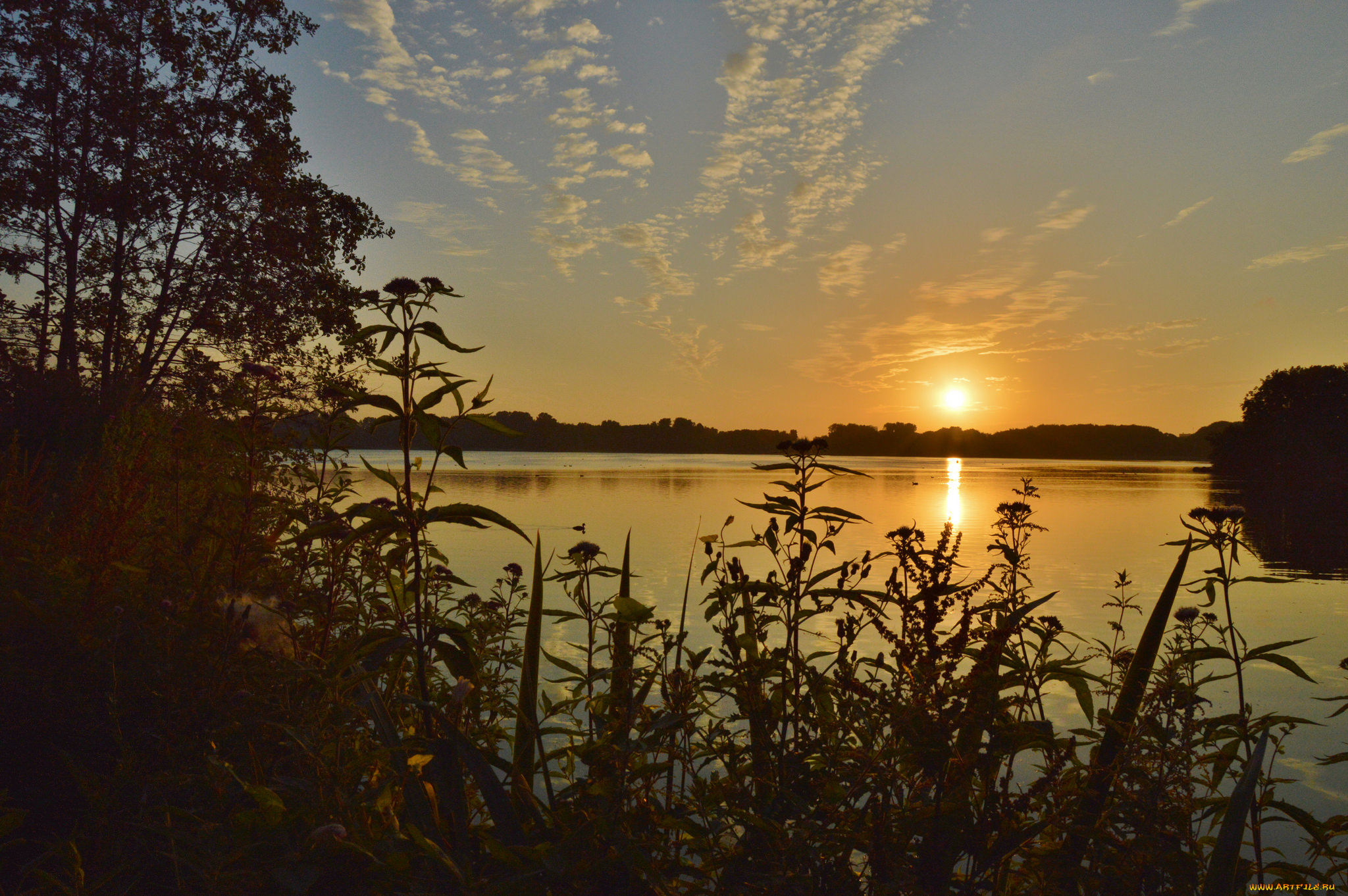 природа, восходы, закаты, сумерки, река