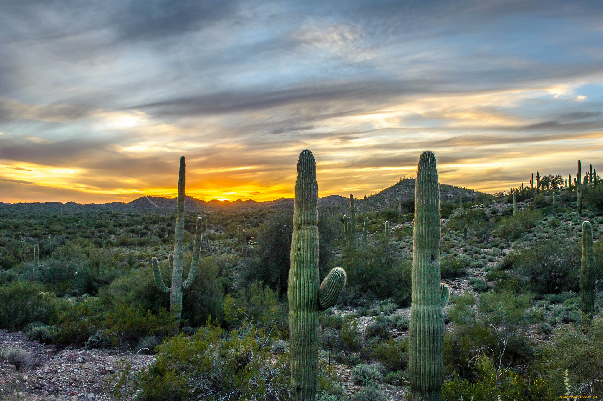 природа, восходы, закаты, рассвет