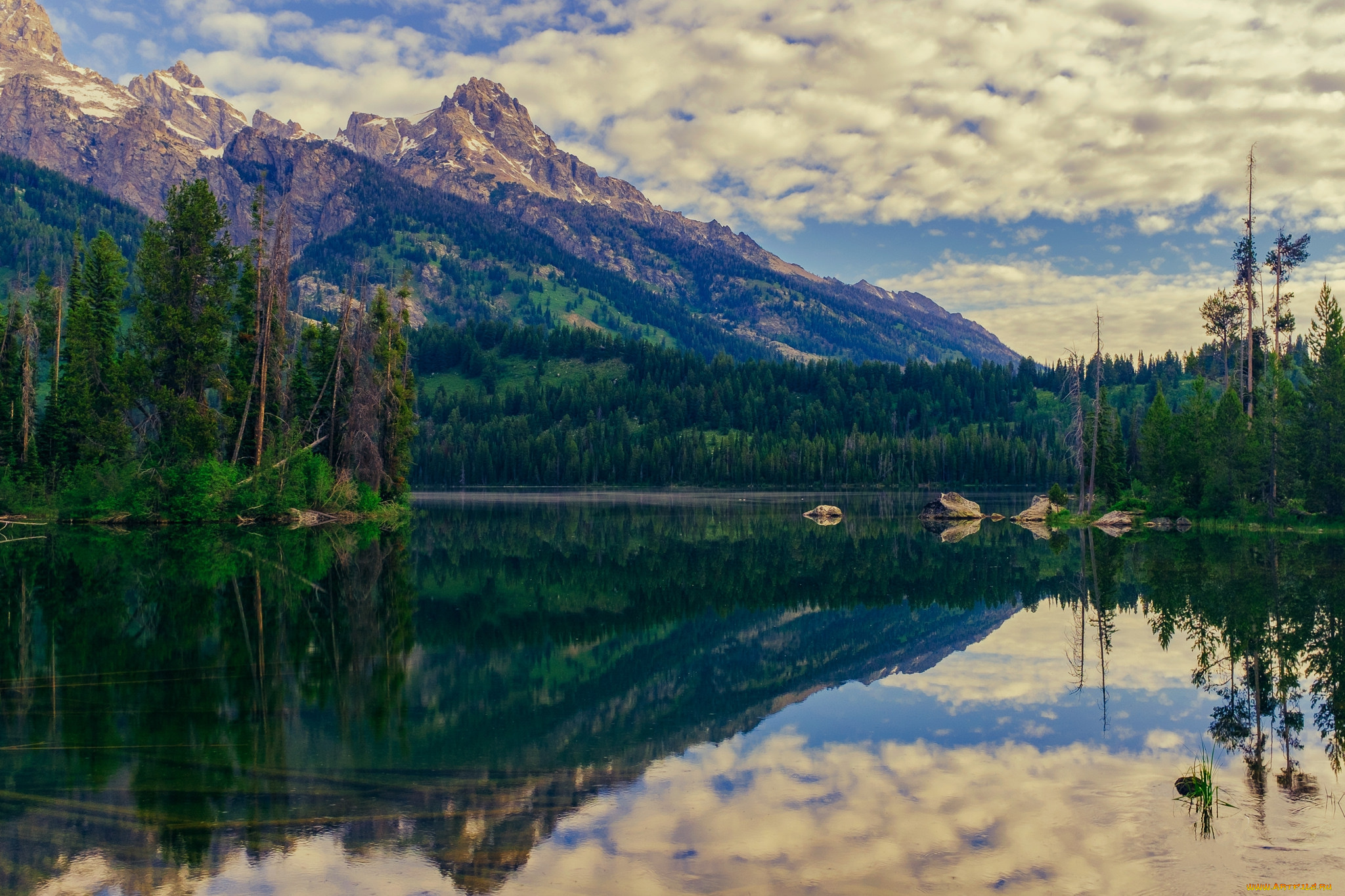 природа, реки, озера, лес, река