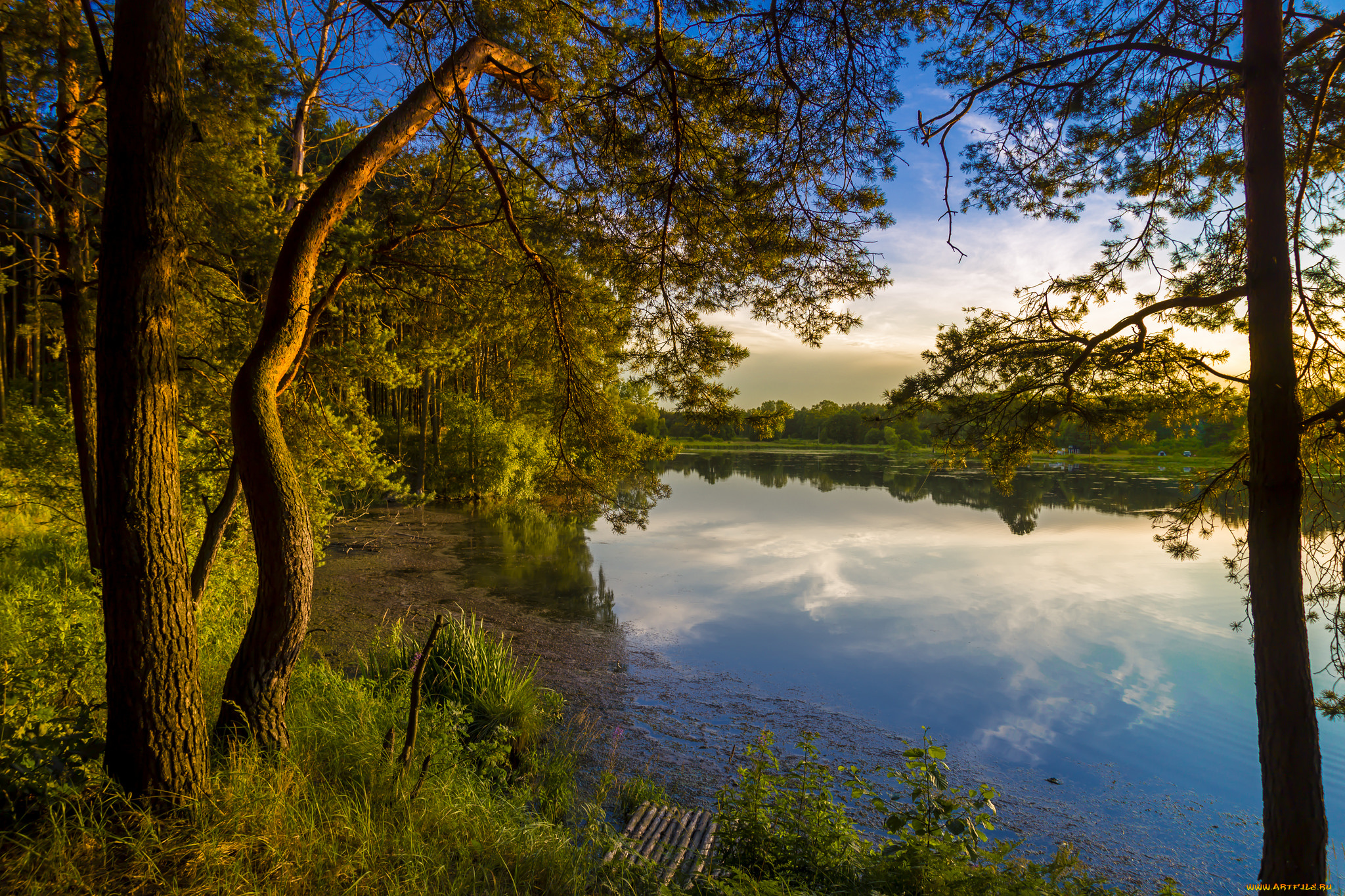 природа, реки, озера, лес, река