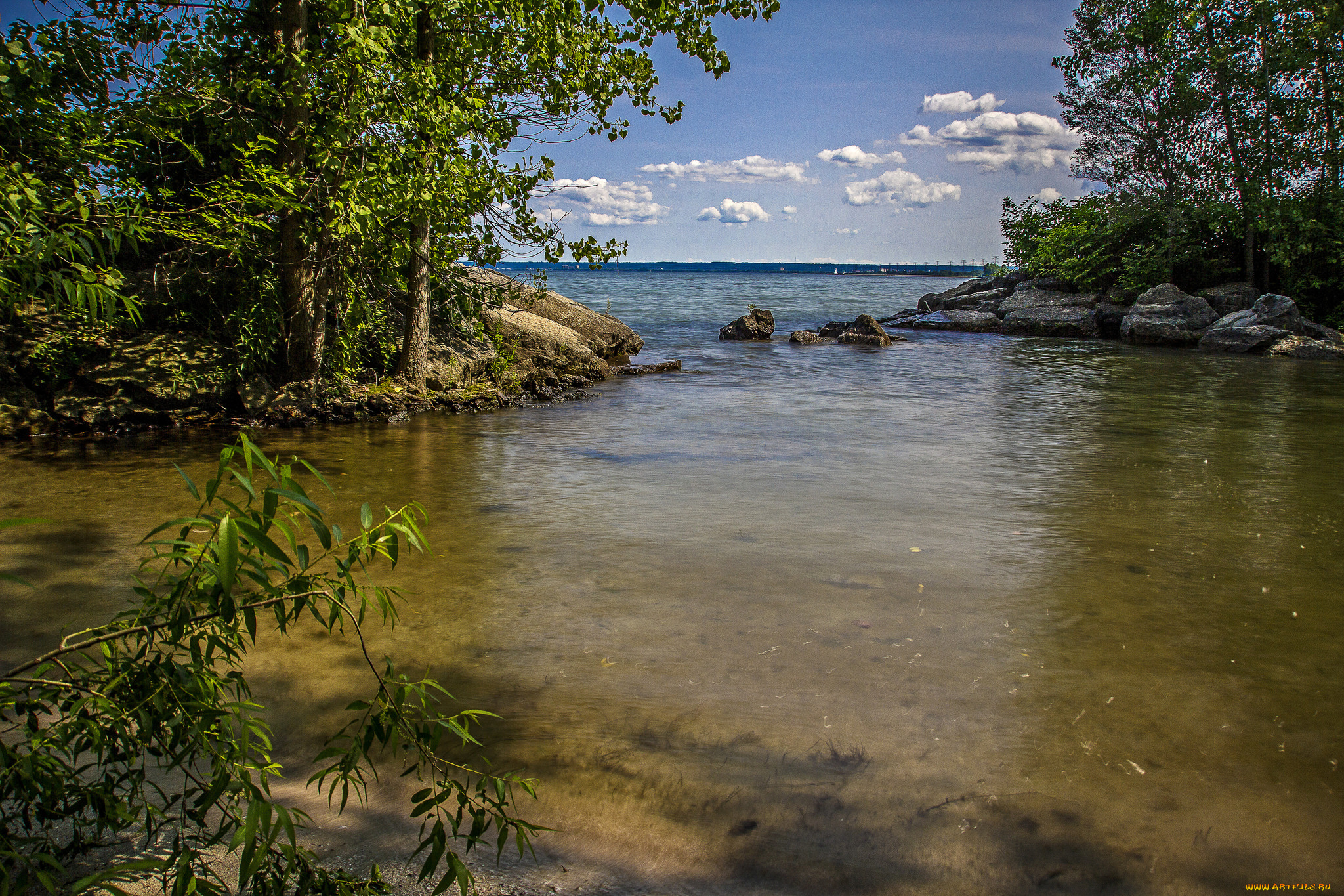 природа, реки, озера, лес, река