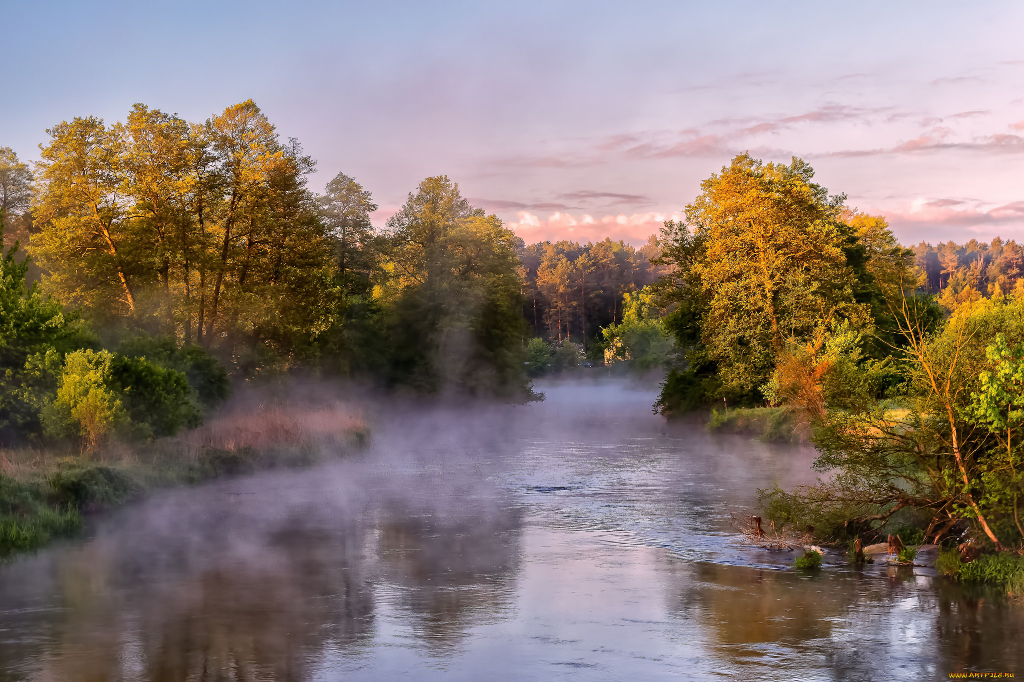 природа, реки, озера, лес, река