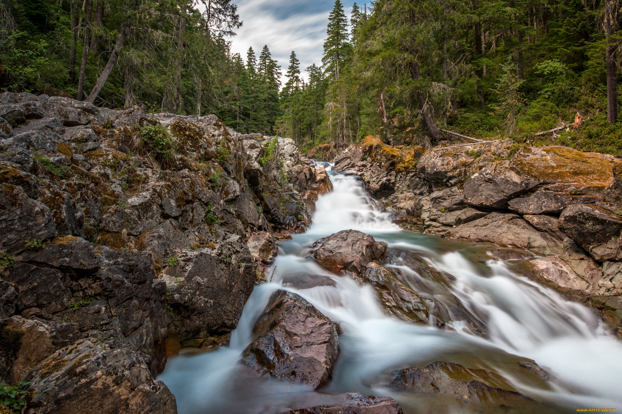 природа, реки, озера, река, лес