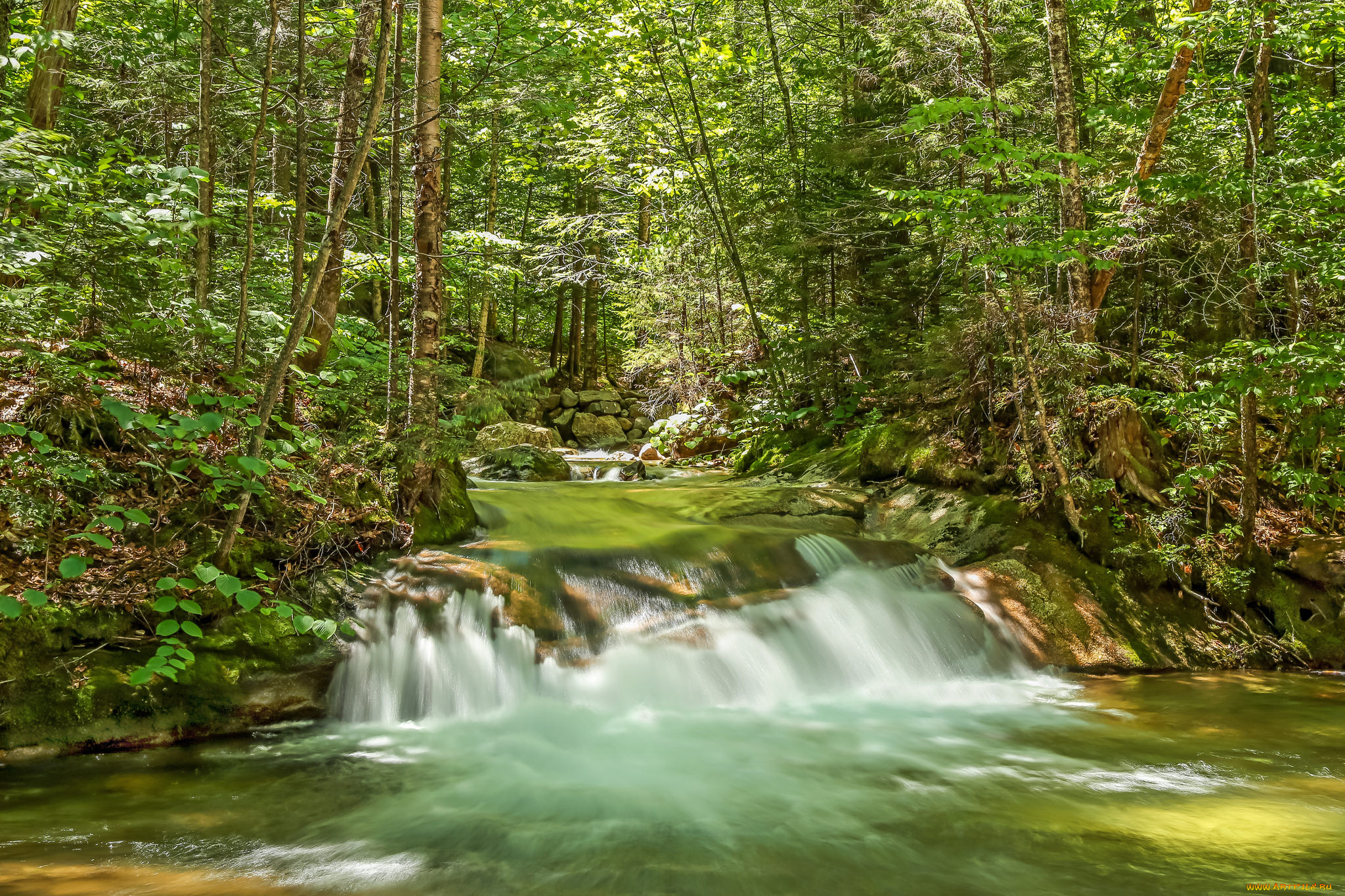 природа, водопады, водопад, река, лес
