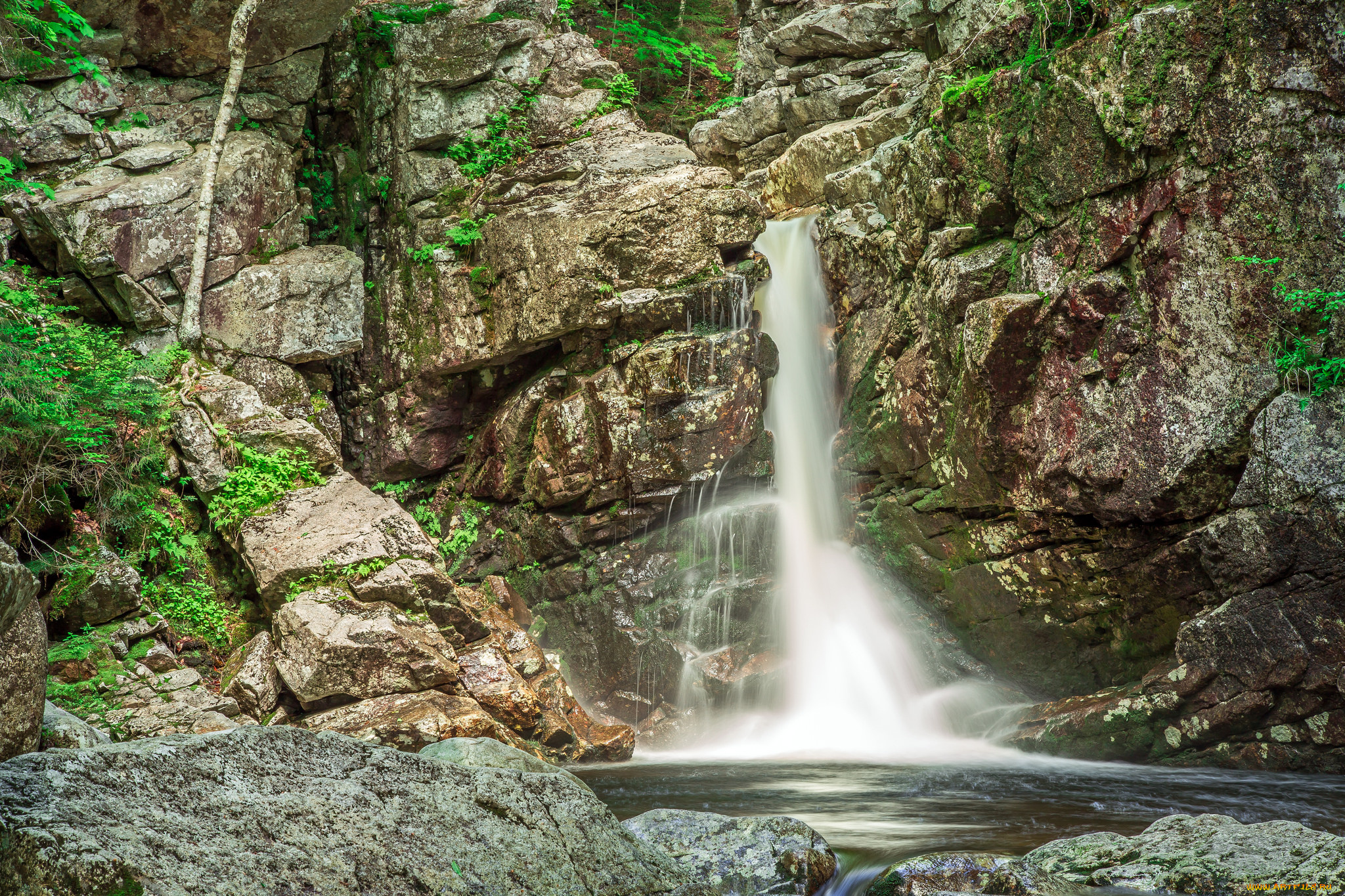 природа, водопады, водопад, река, лес