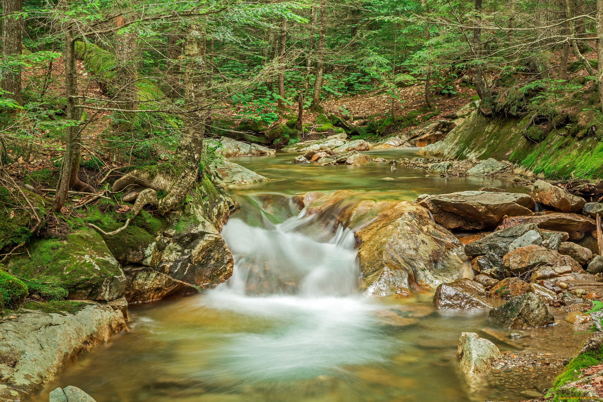 природа, водопады, водопад, река, лес