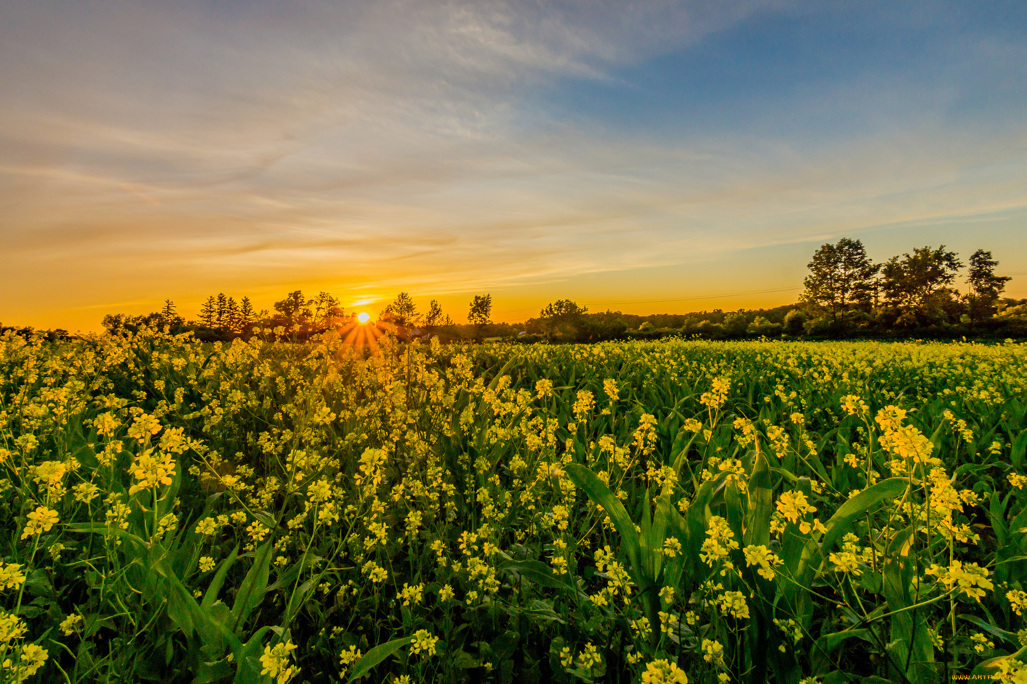 природа, восходы, закаты, рассвет