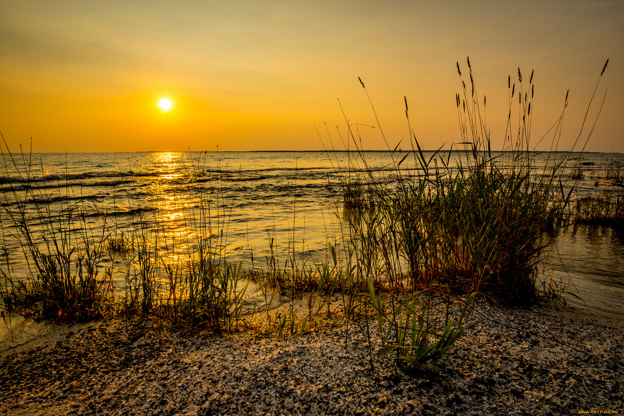 природа, восходы, закаты, заря, вечер