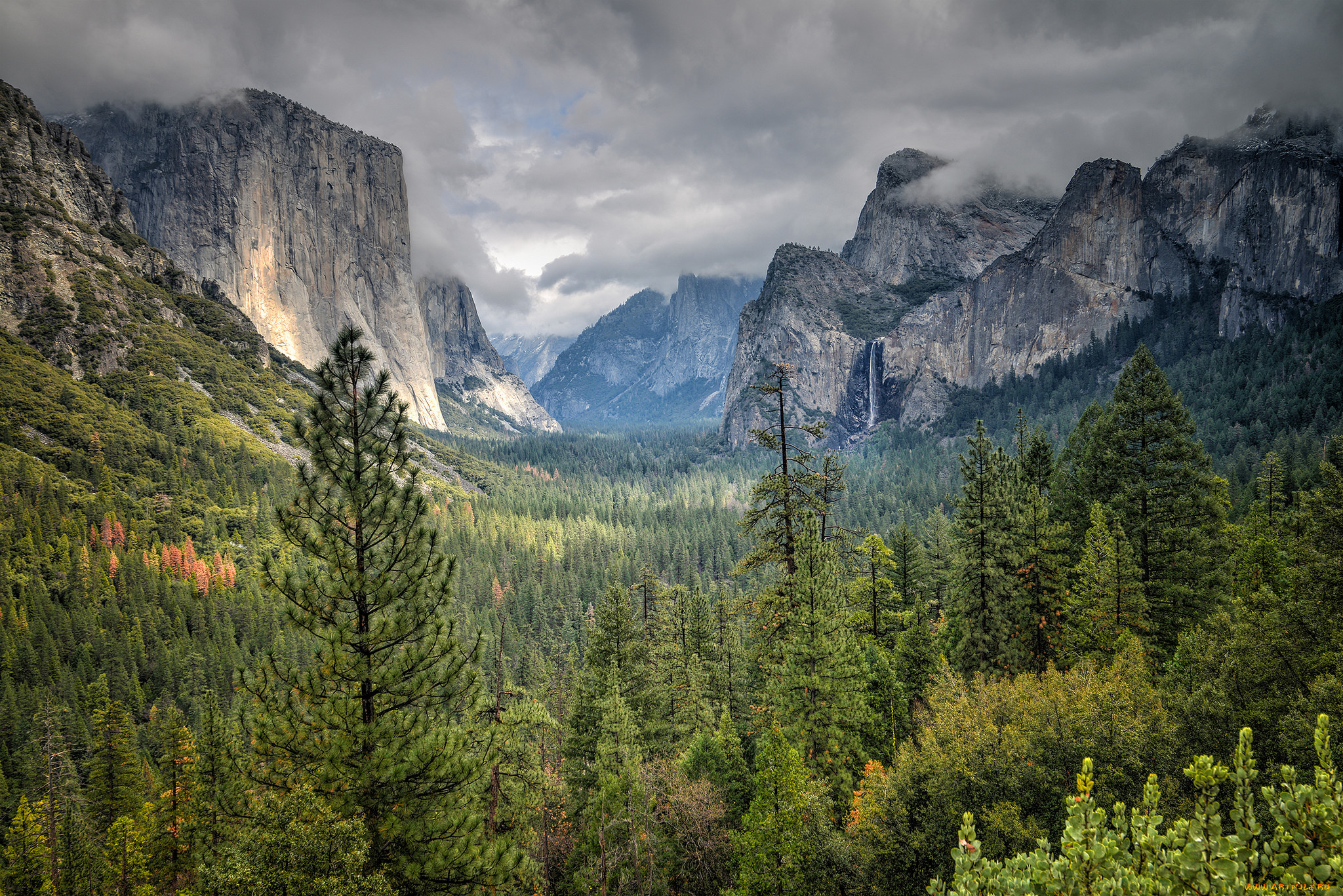 природа, горы, лес, распадок