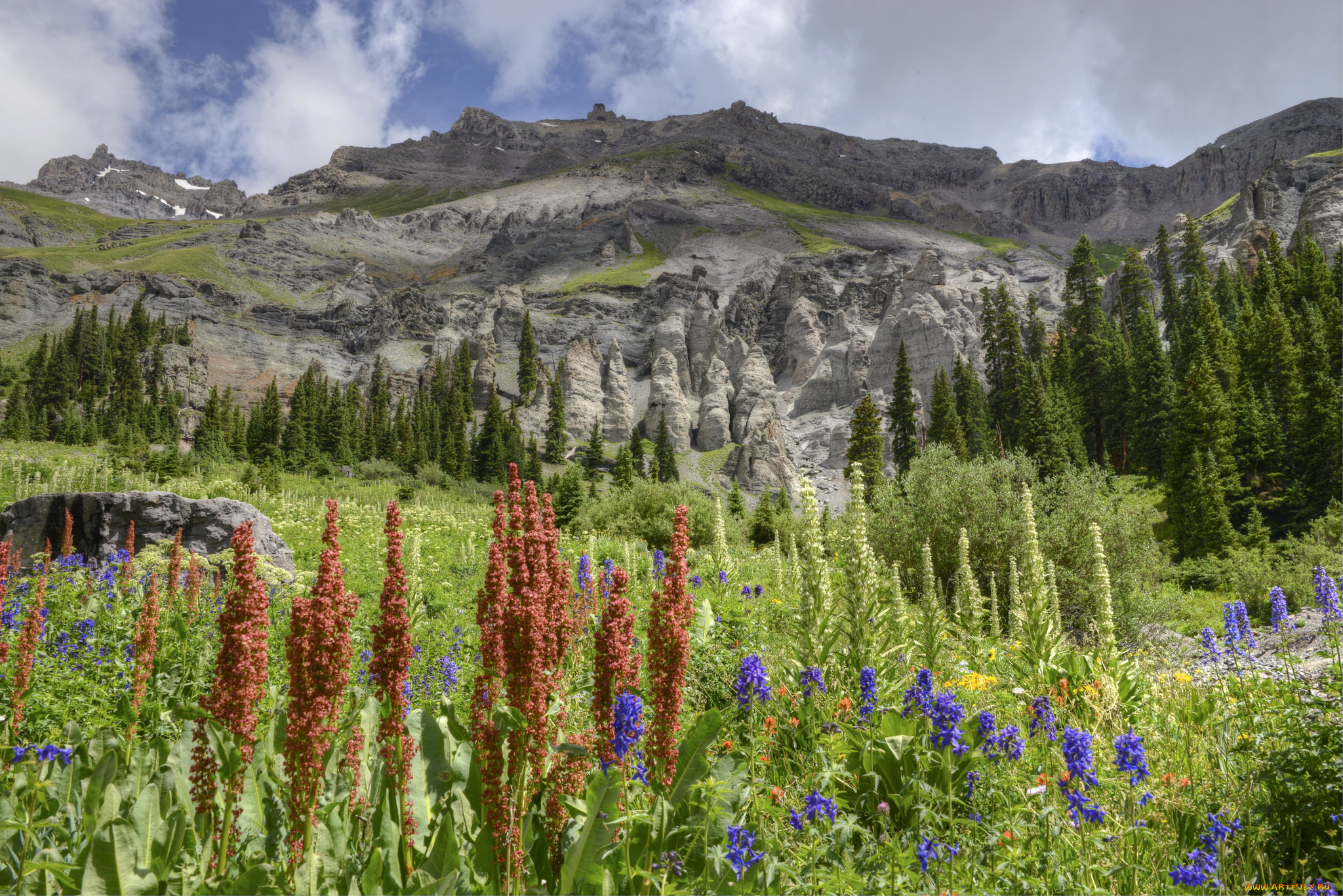 природа, луга, скалы, лес, трава, цветы