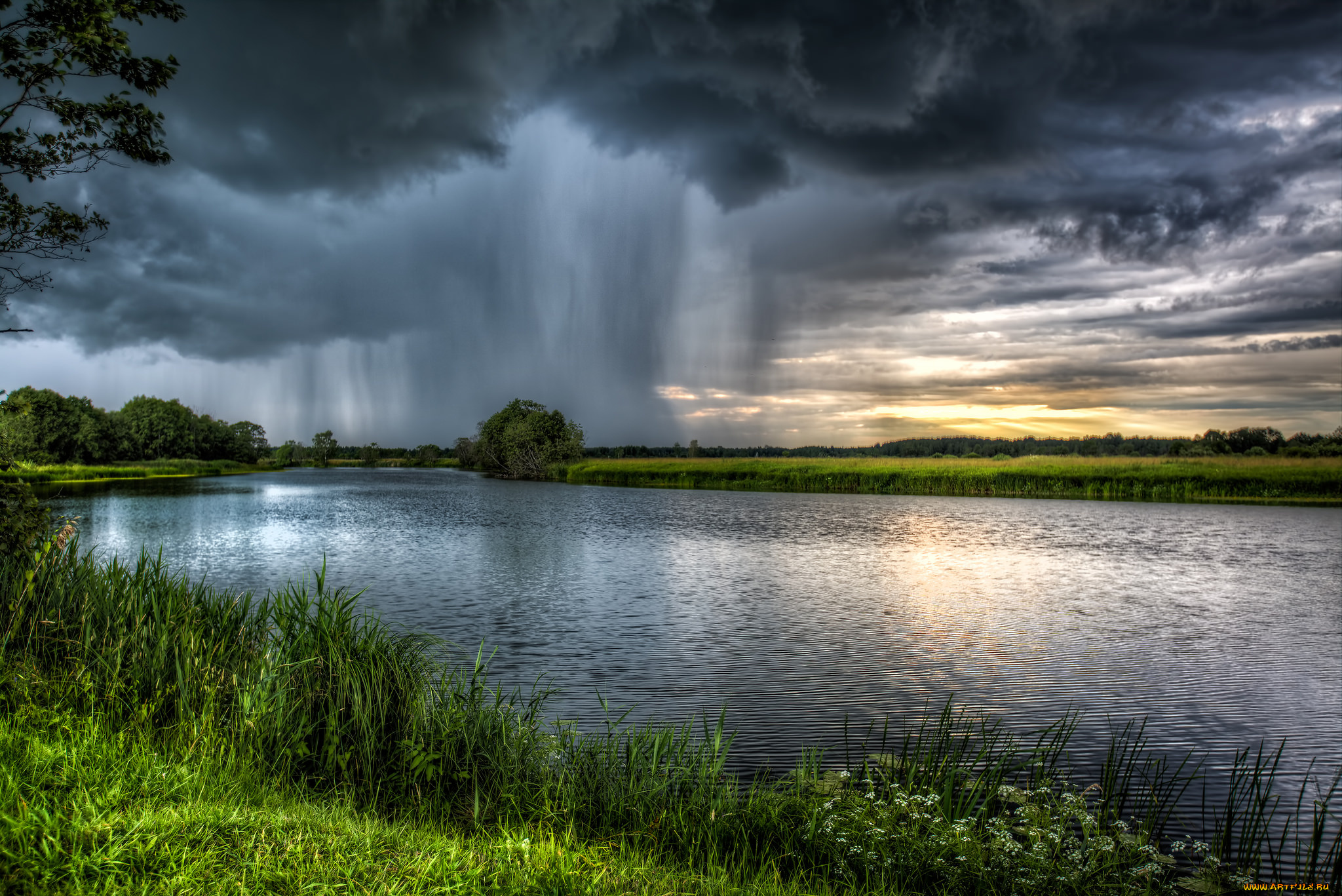 природа, реки, озера, лес, река