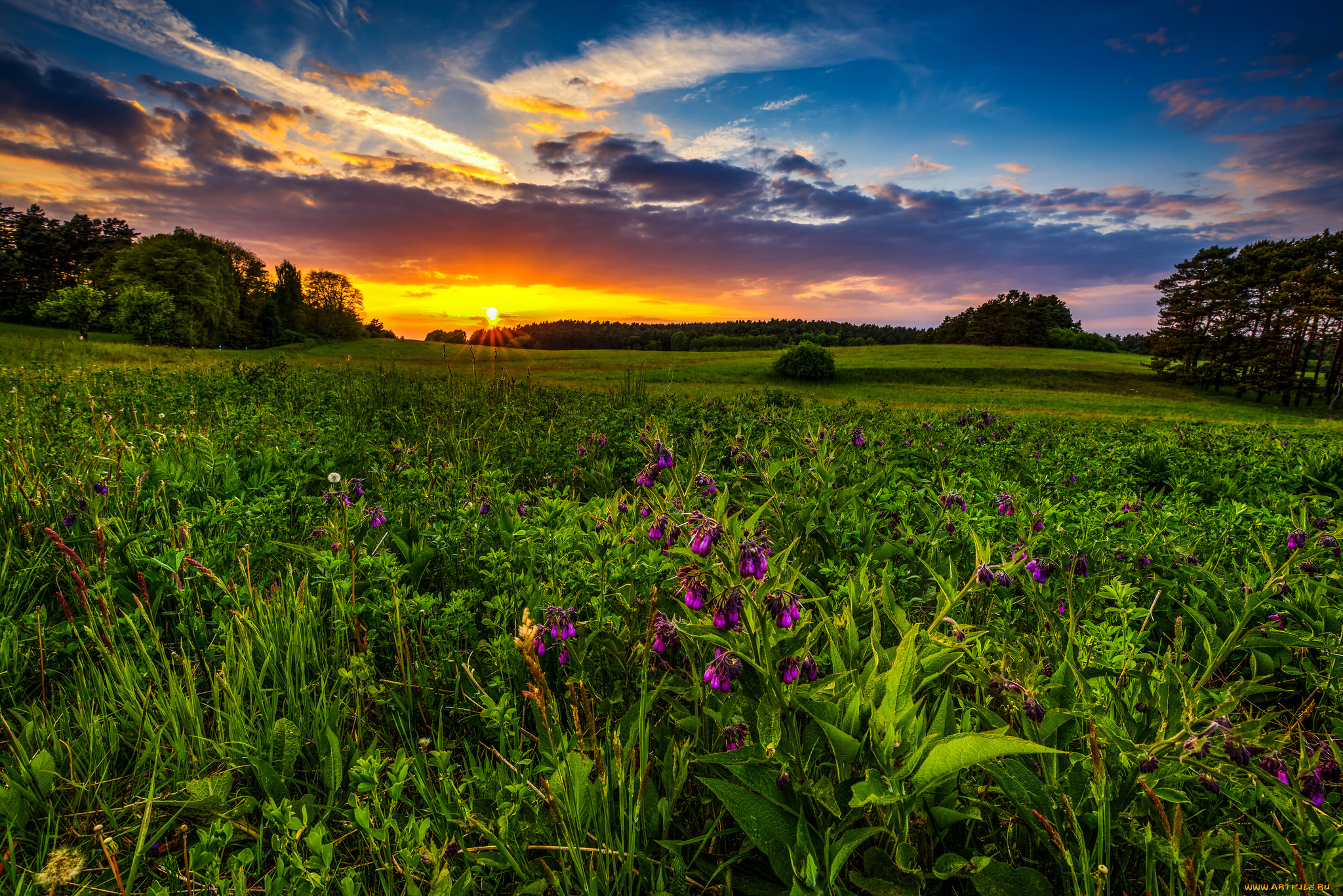 природа, восходы, закаты, рассвет