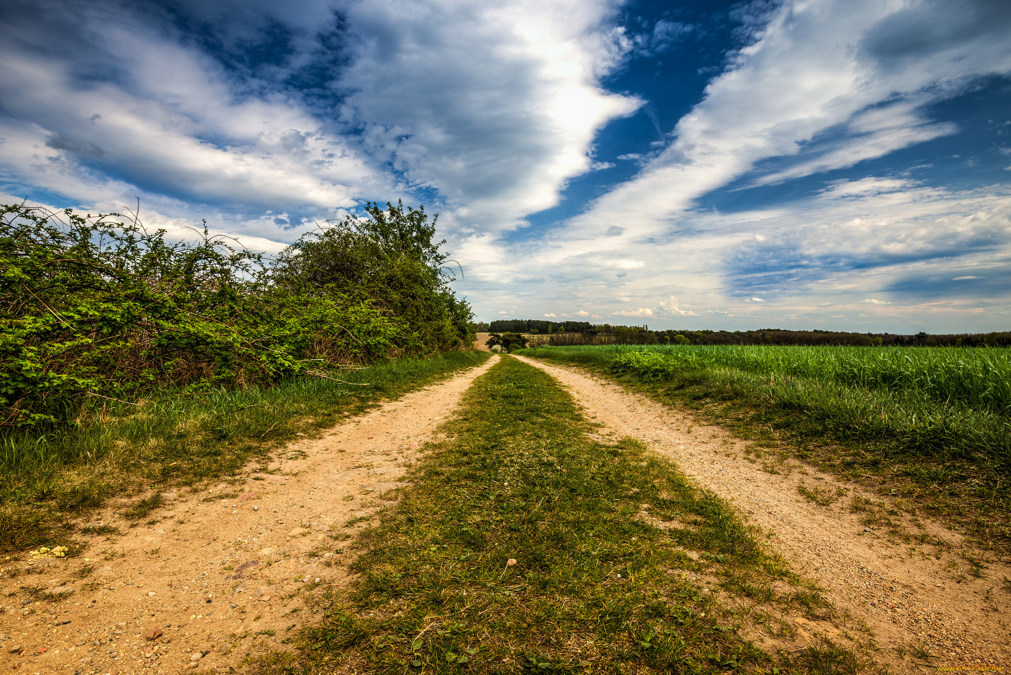 природа, дороги, поле, колея