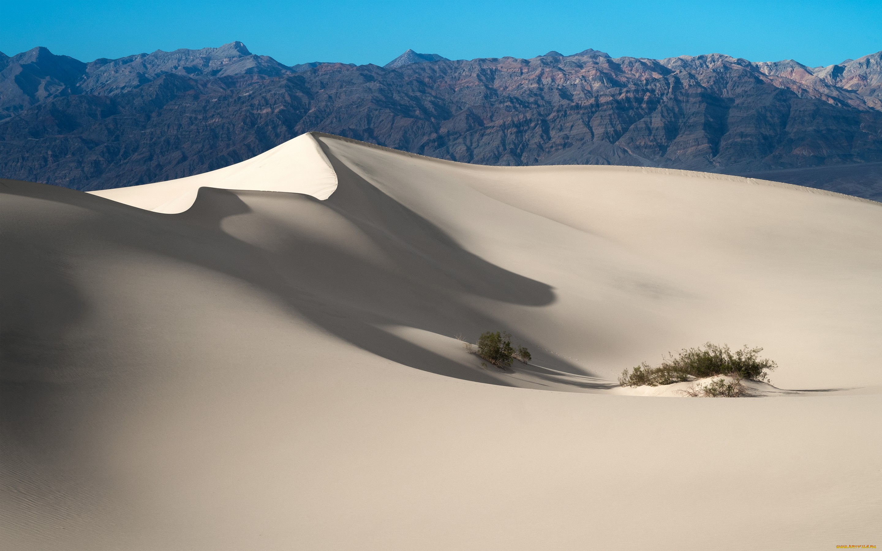 природа, пустыни, death, valley, national, park, дюны, пустыня, usa, california, песок