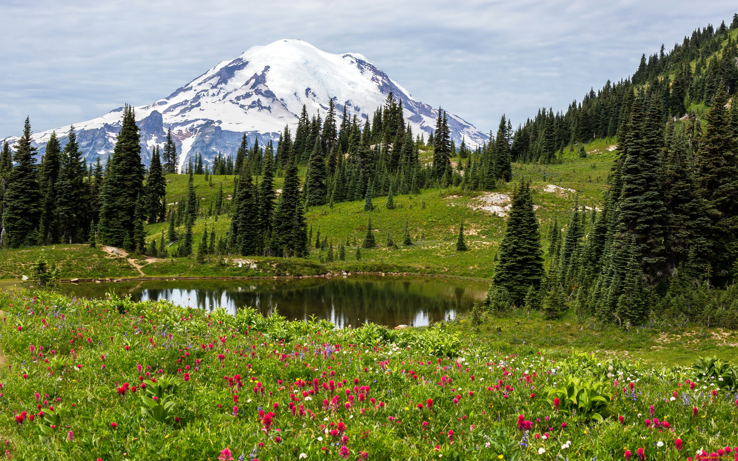 природа, реки, озера, трава, поляна, озеро, деревья, снежная, цветы, гора