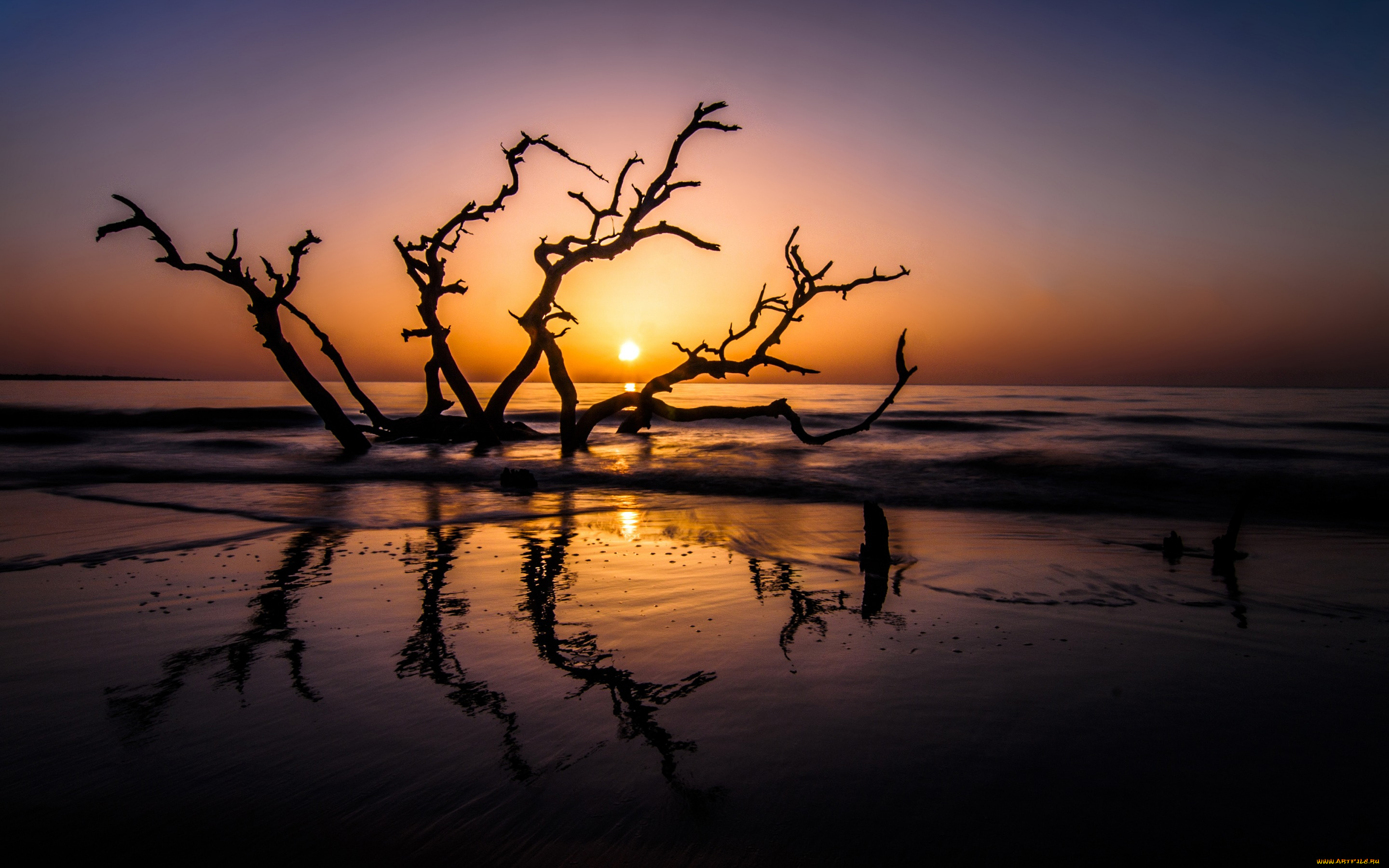 природа, восходы, закаты, jekyll, island, океан, пейзаж, рассвет, usa, georgia, sunrise, summer