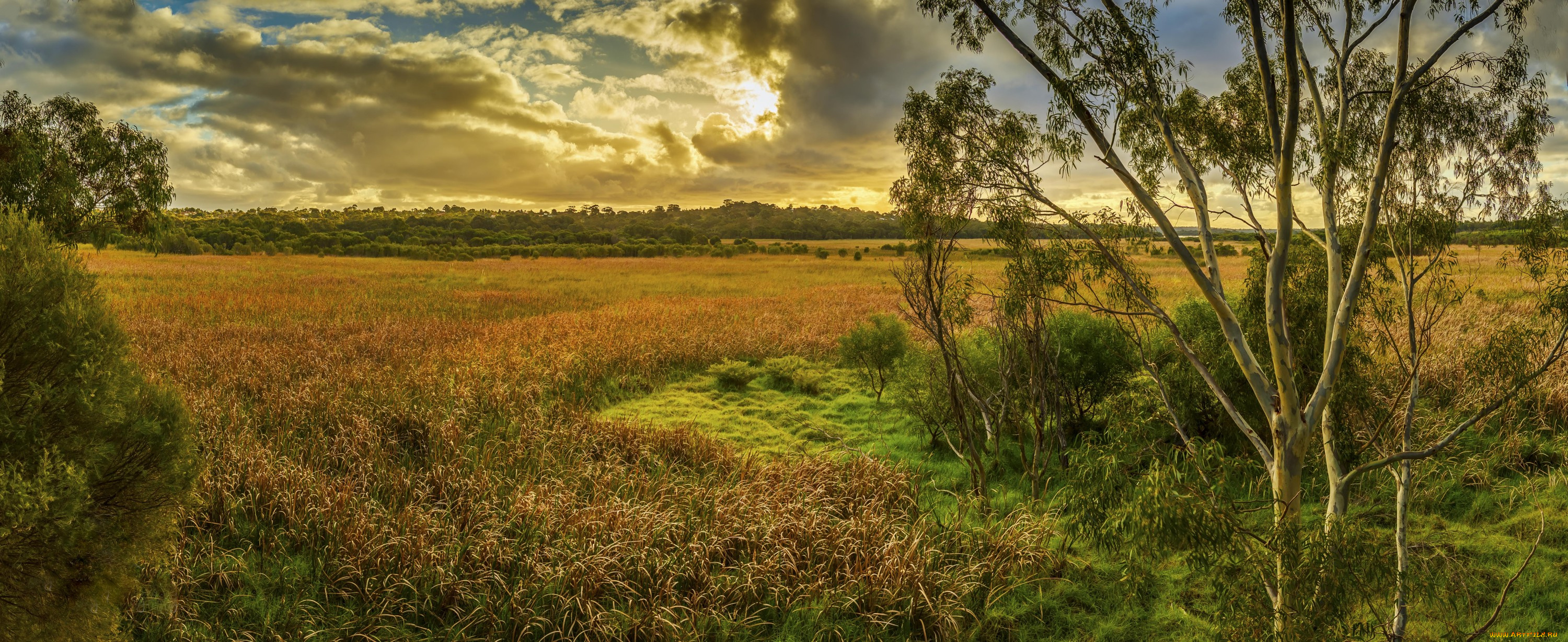 природа, поля, облака, свет, утро, поле
