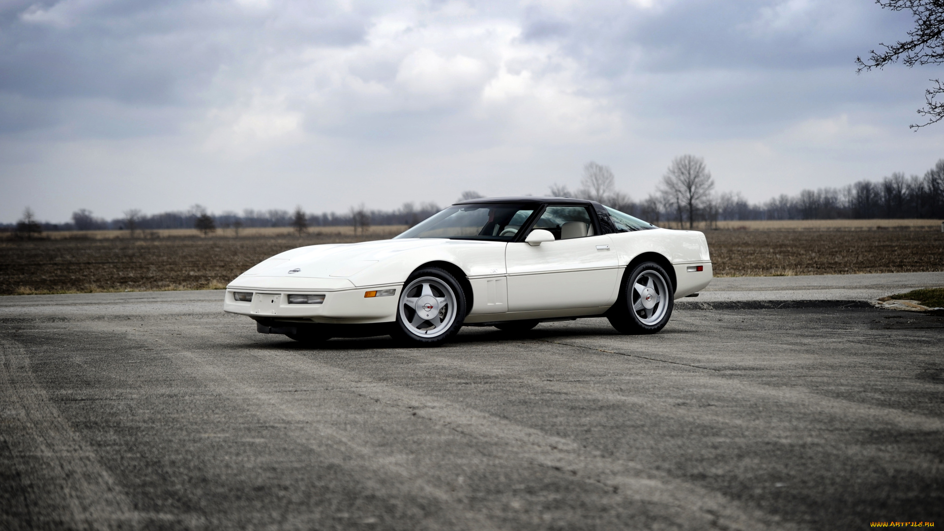 автомобили, corvette