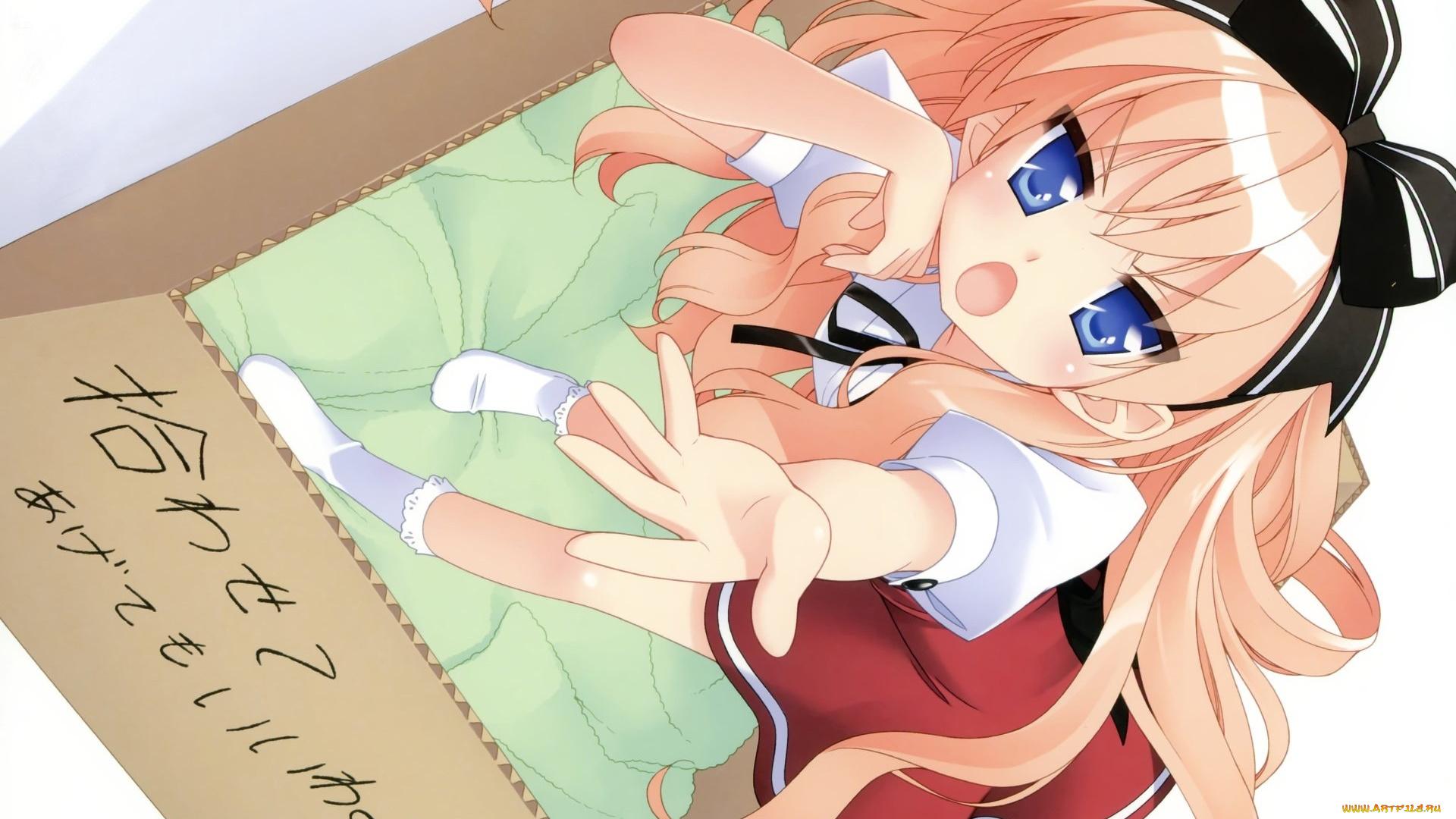 neko, overrun, аниме, mayoi, neko, overrun, фон, взгляд, девушка