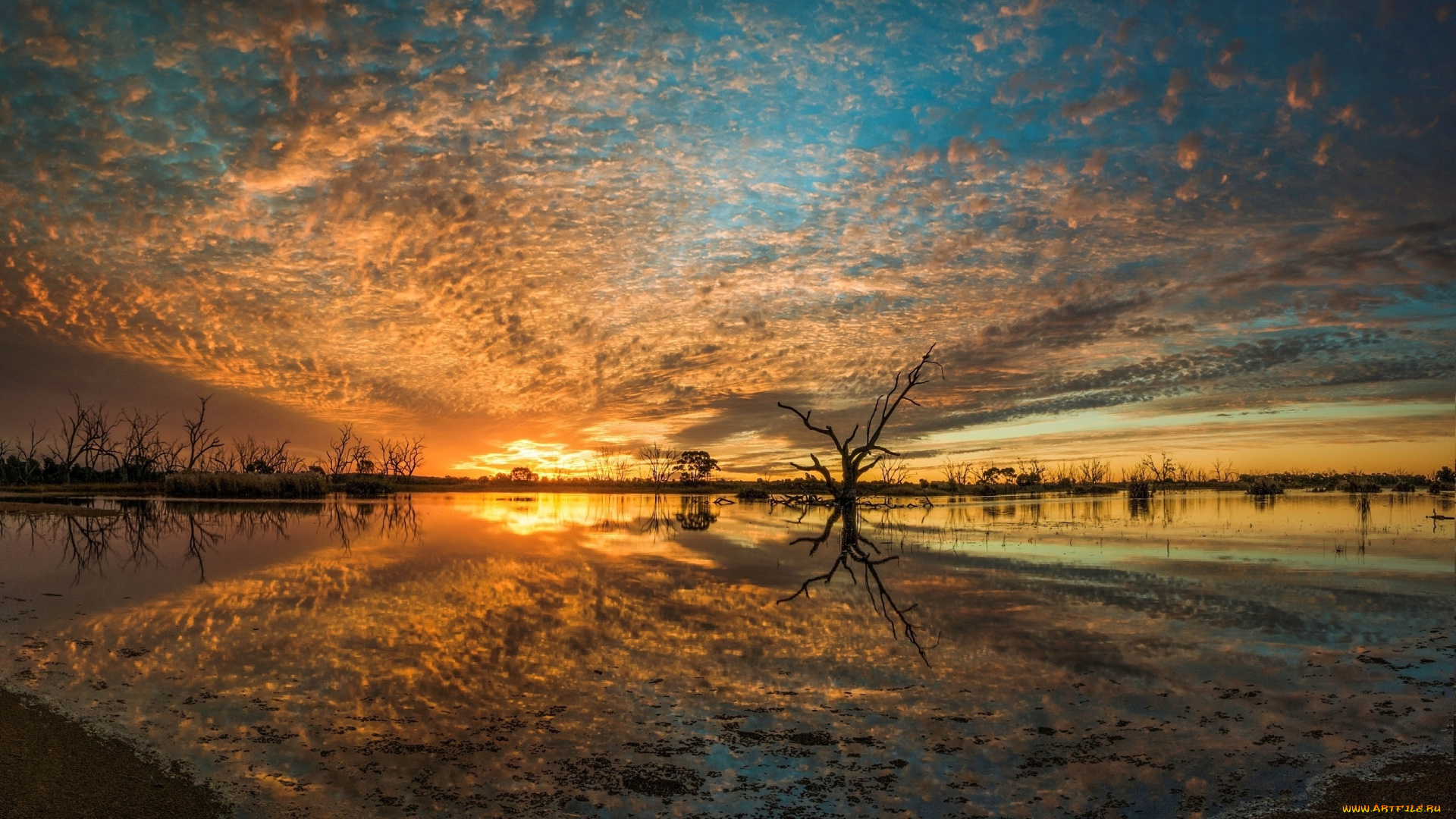 природа, восходы, закаты, закат