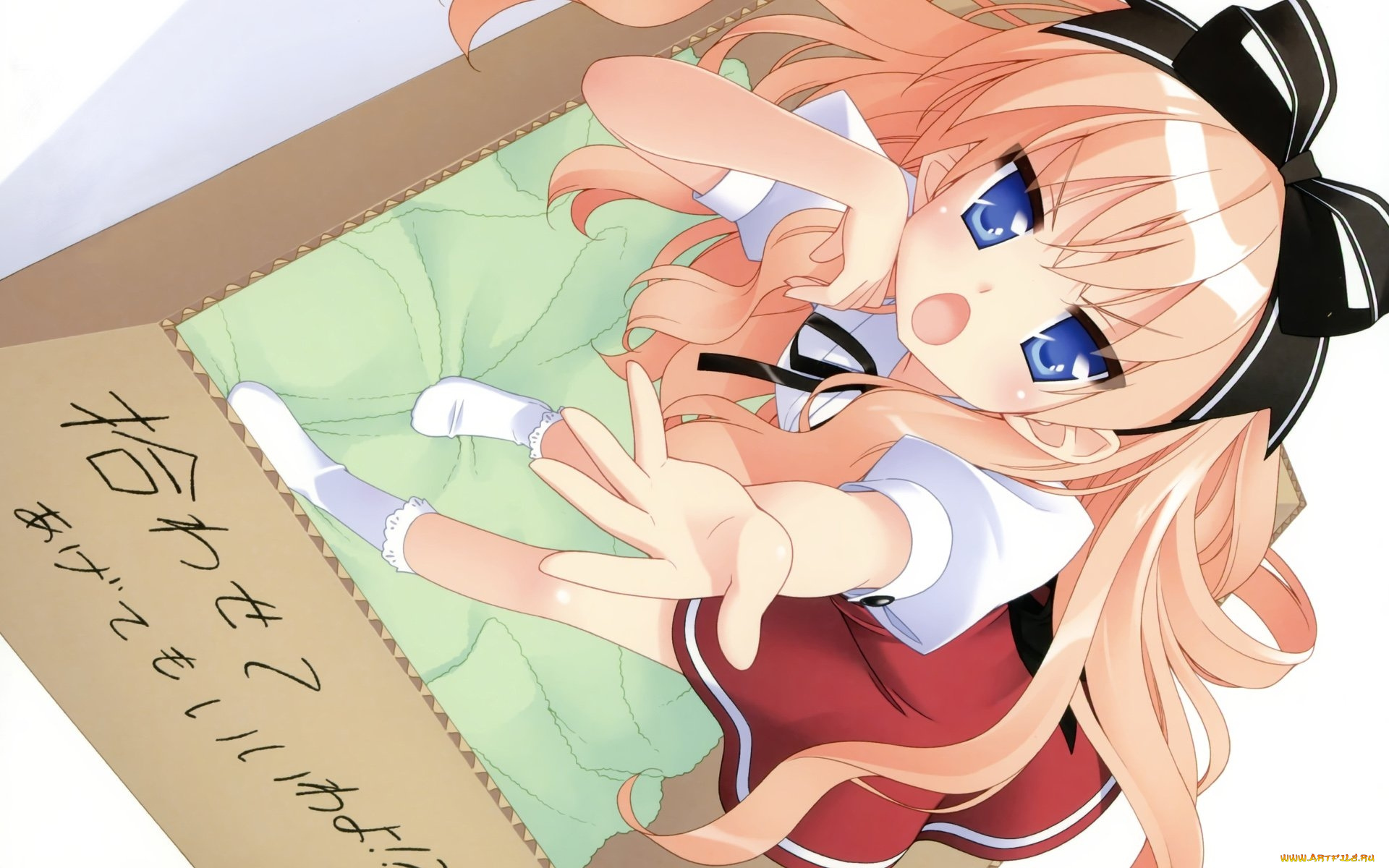 neko, overrun, аниме, mayoi, neko, overrun, фон, взгляд, девушка