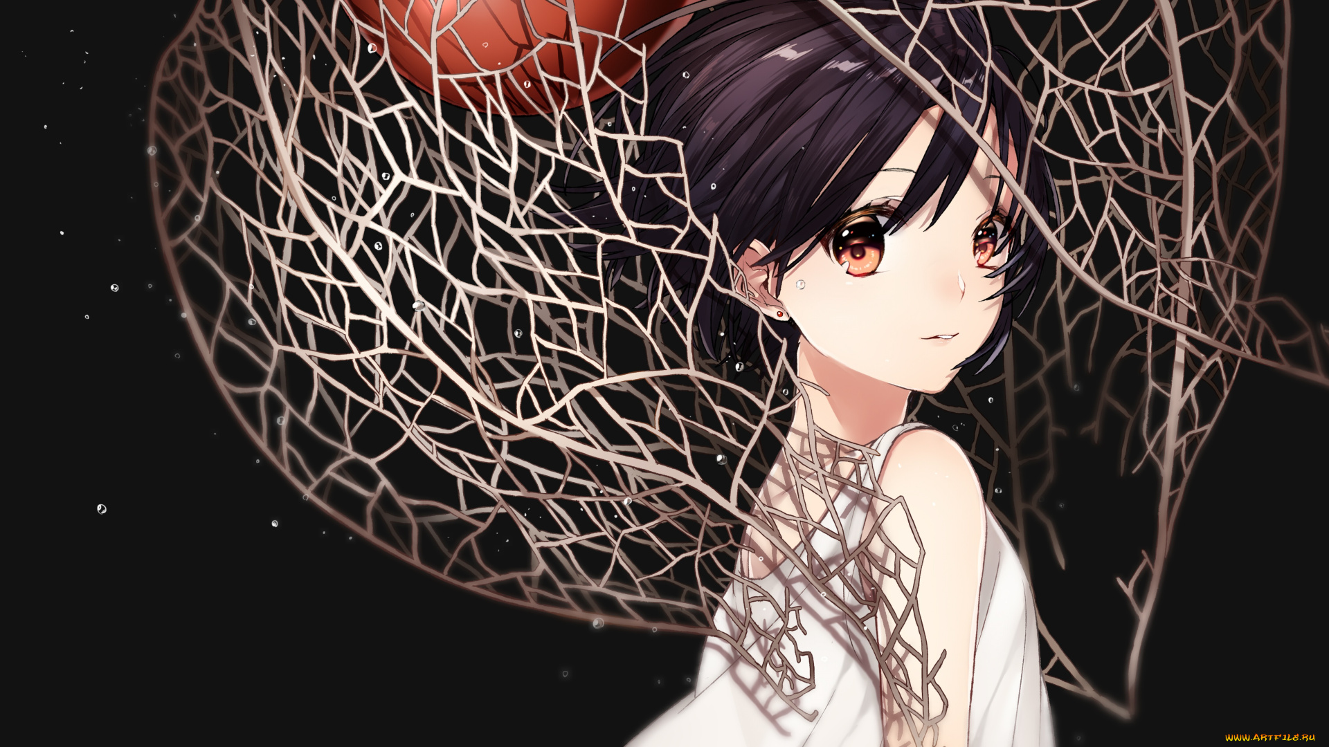 аниме, unknown, , другое, sogawa66