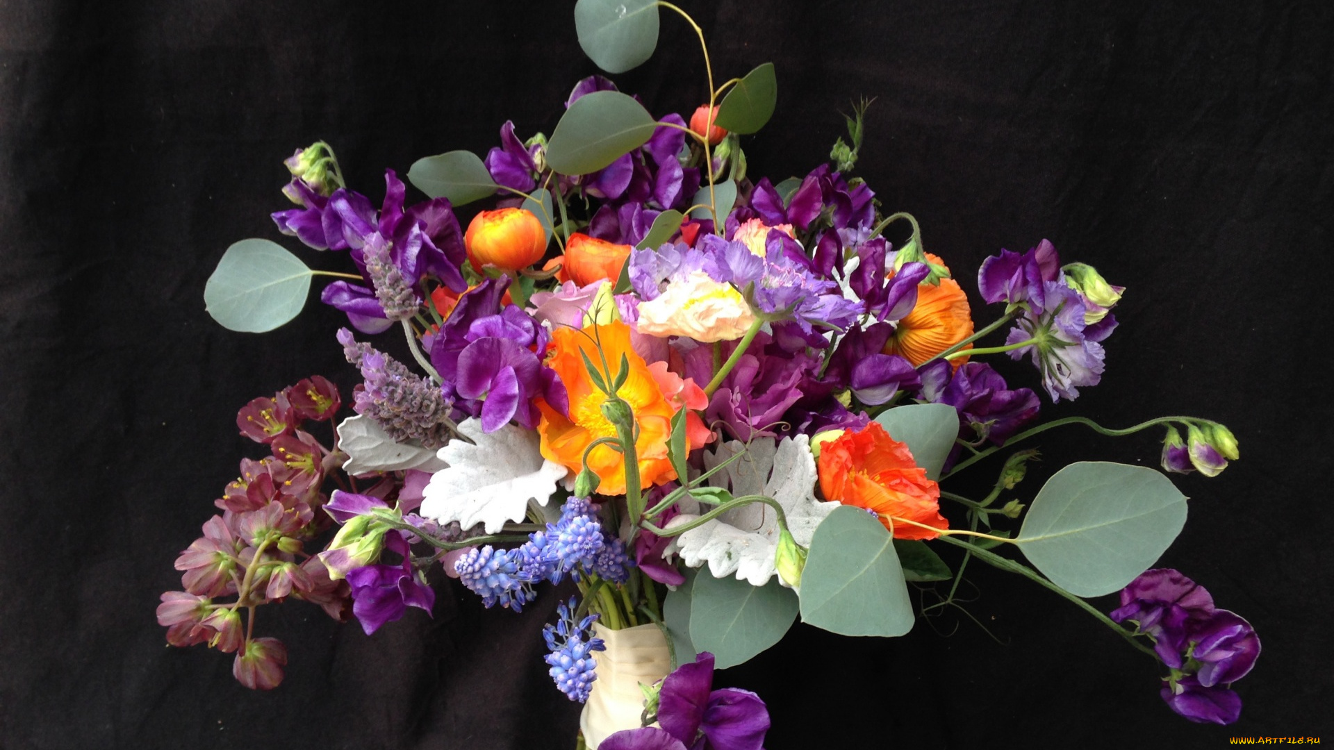 цветы, букеты, , композиции, черный, фон