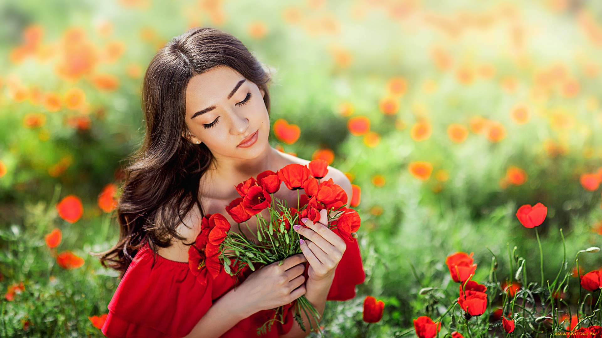 девушки, -unsort, , брюнетки, , шатенки, цветы, маки, природа, локоны, девушка, брюнетка, поле, лето, платье