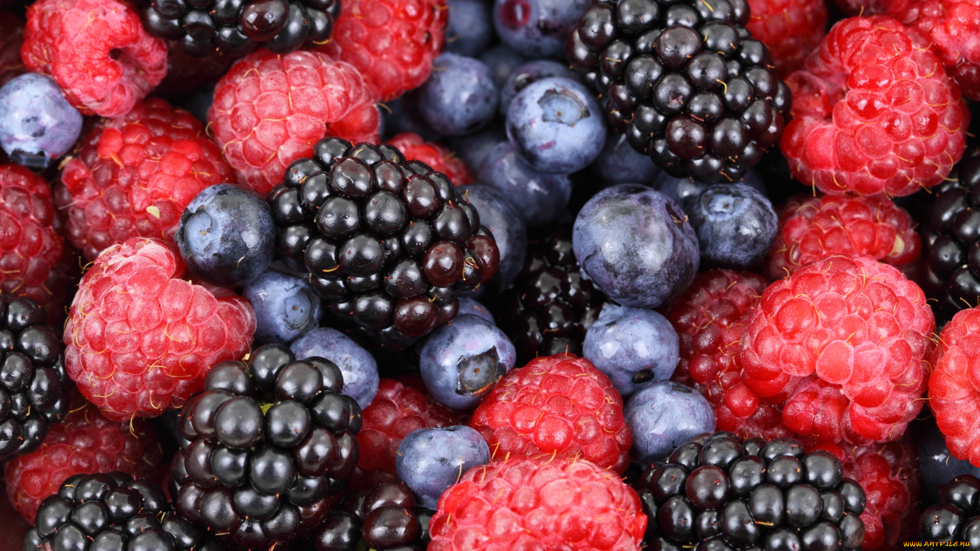 еда, фрукты, , ягоды, черника, макро, малина, ежевика