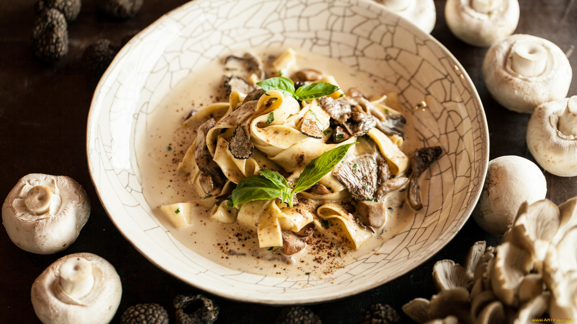 еда, макаронные, блюда, грибы, спагетти, второе, блюдо, подлива