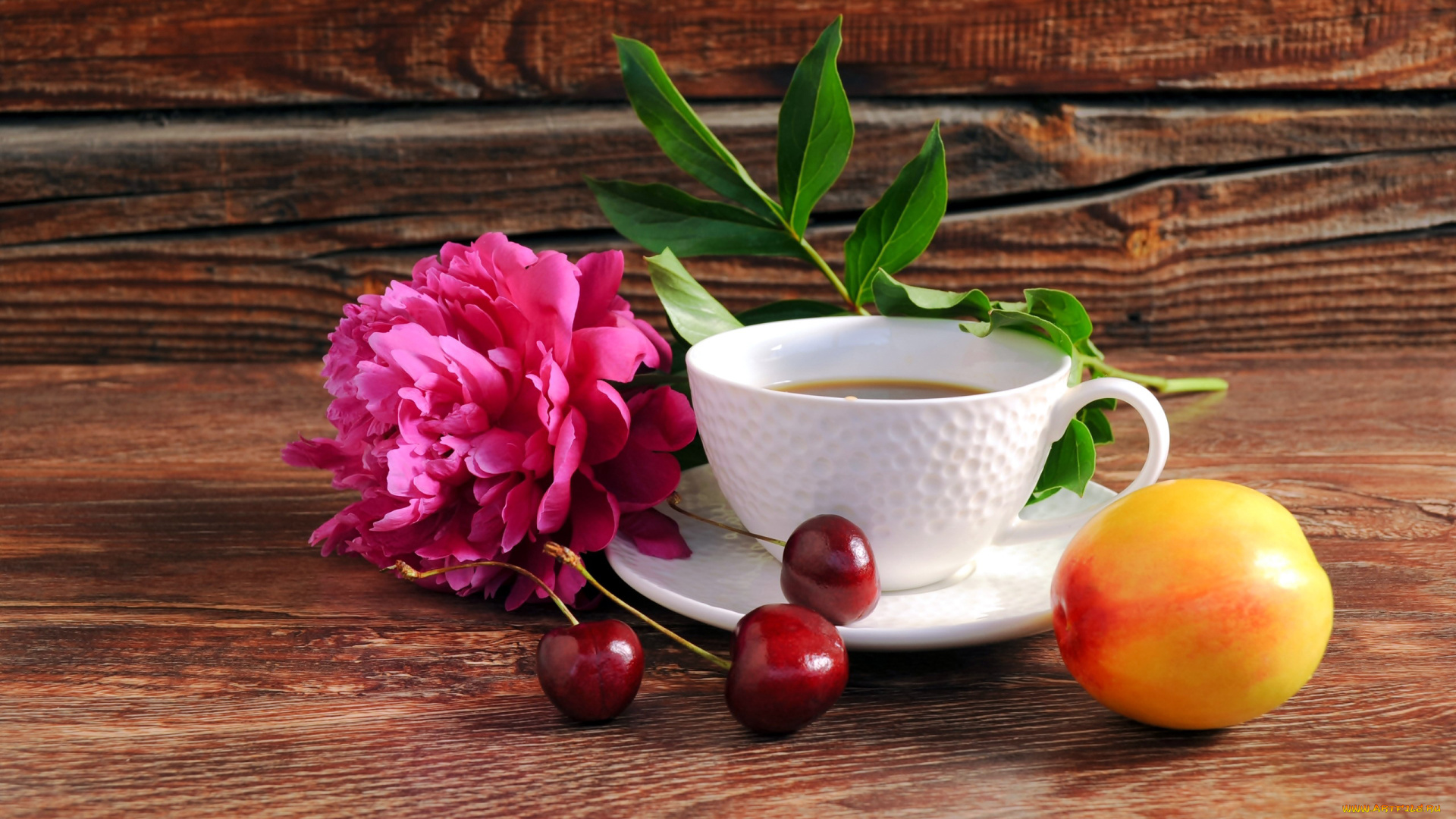 еда, натюрморт, пион, чай, нектарин, вишни