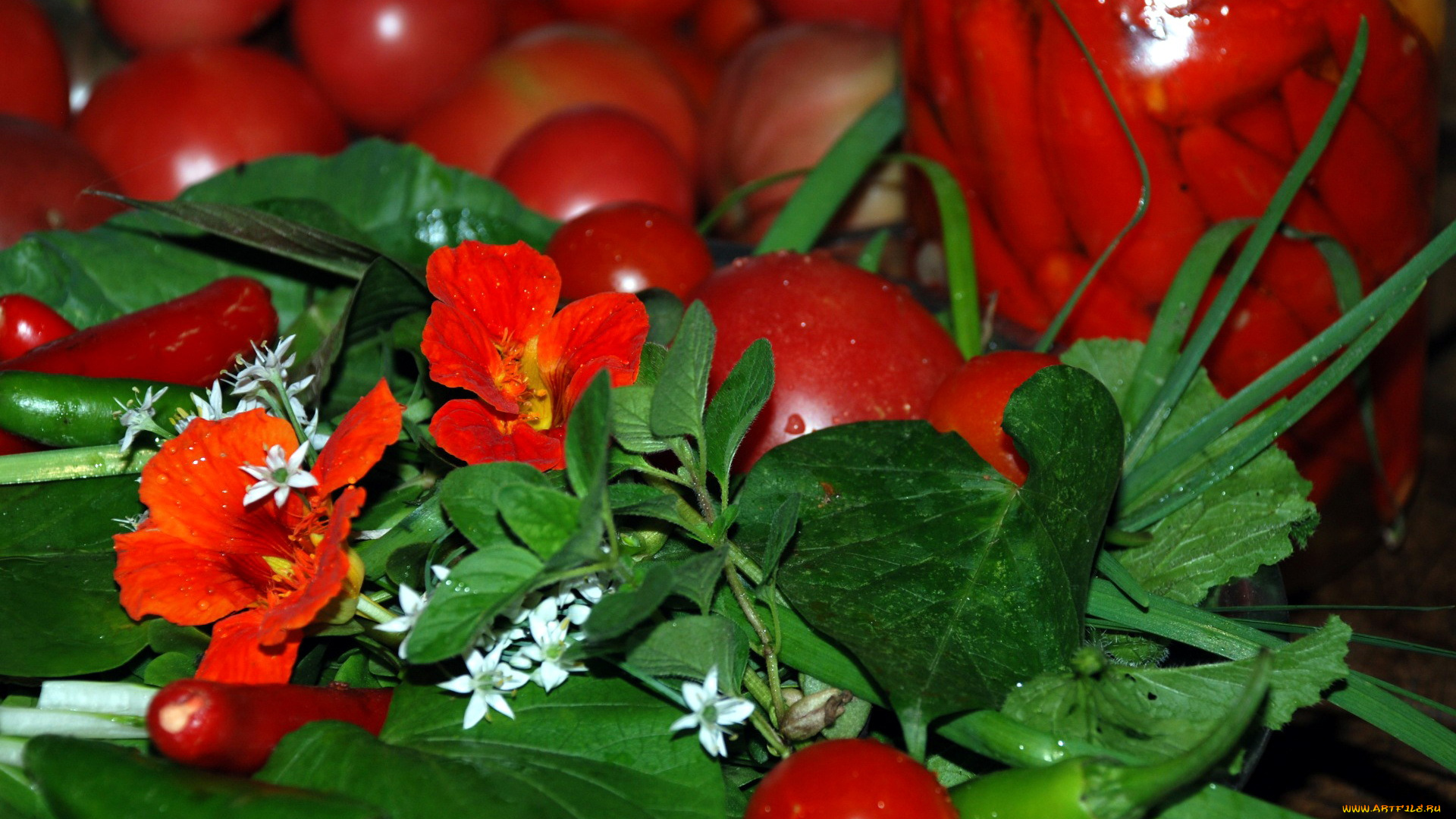 еда, овощи, перец, настурция, помидоры, зелень