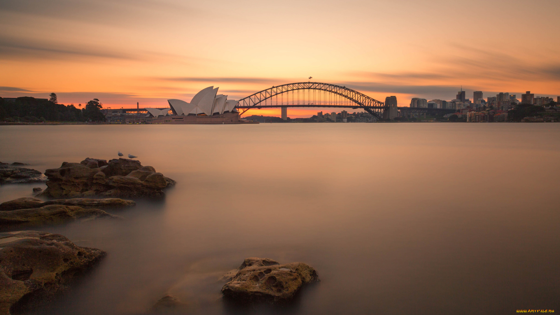 города, сидней, , австралия, night, lights, singapore, ночные, огни, сингапур