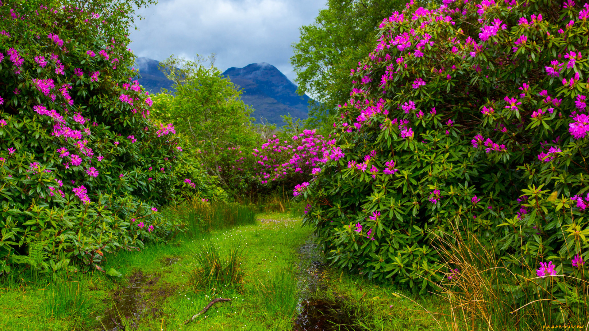 природа, дороги, простор