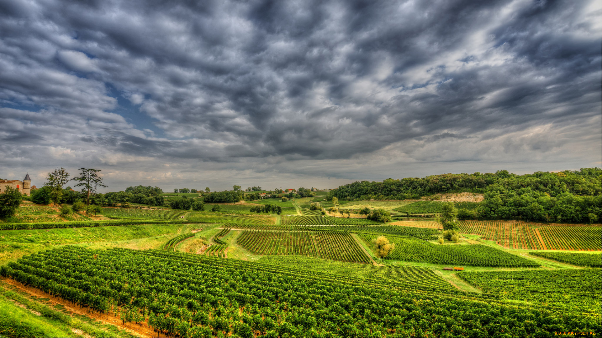 природа, пейзажи, простор