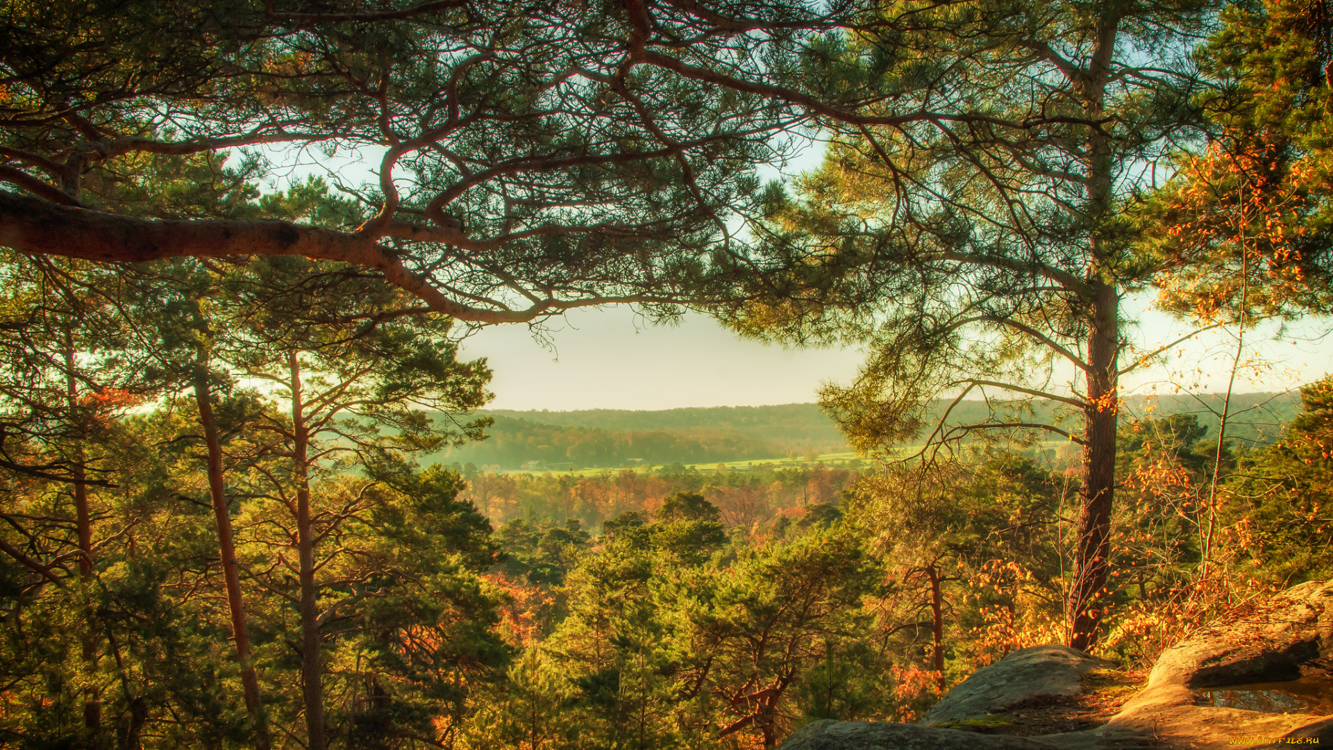 природа, пейзажи, простор