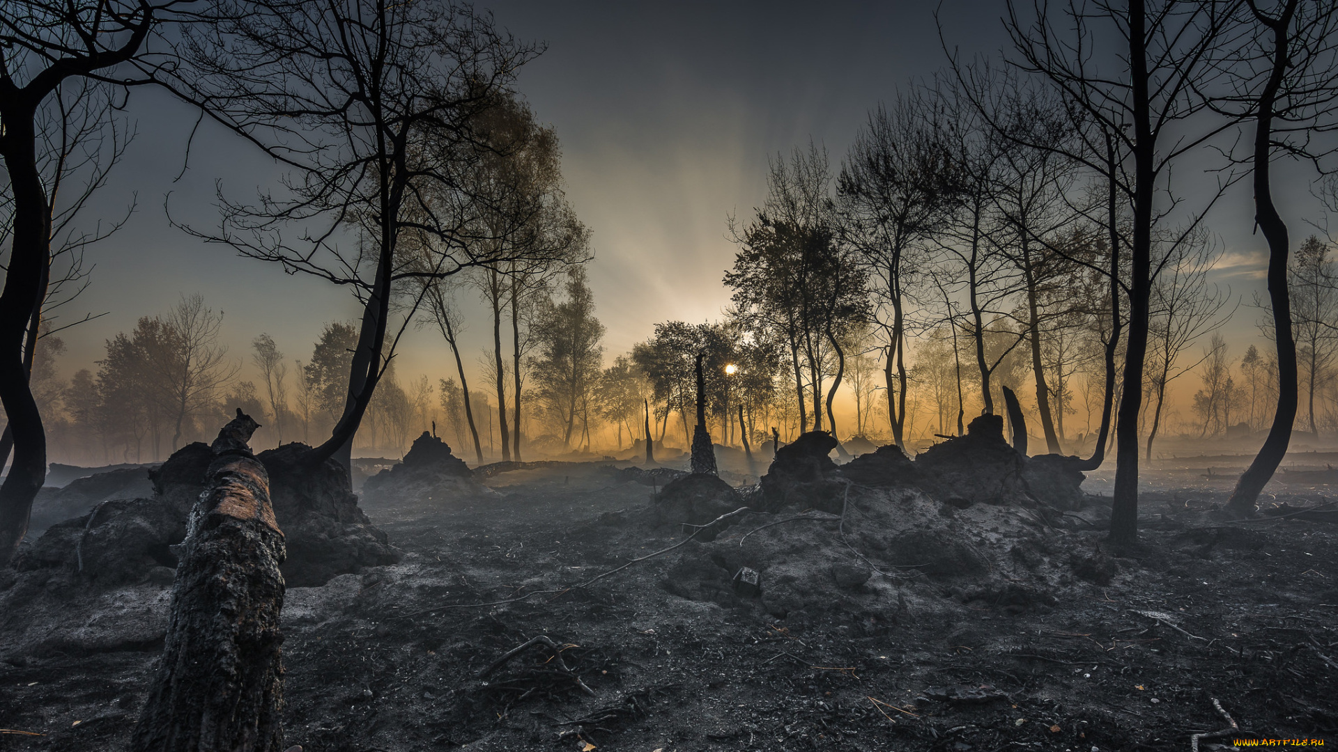 природа, пейзажи, простор