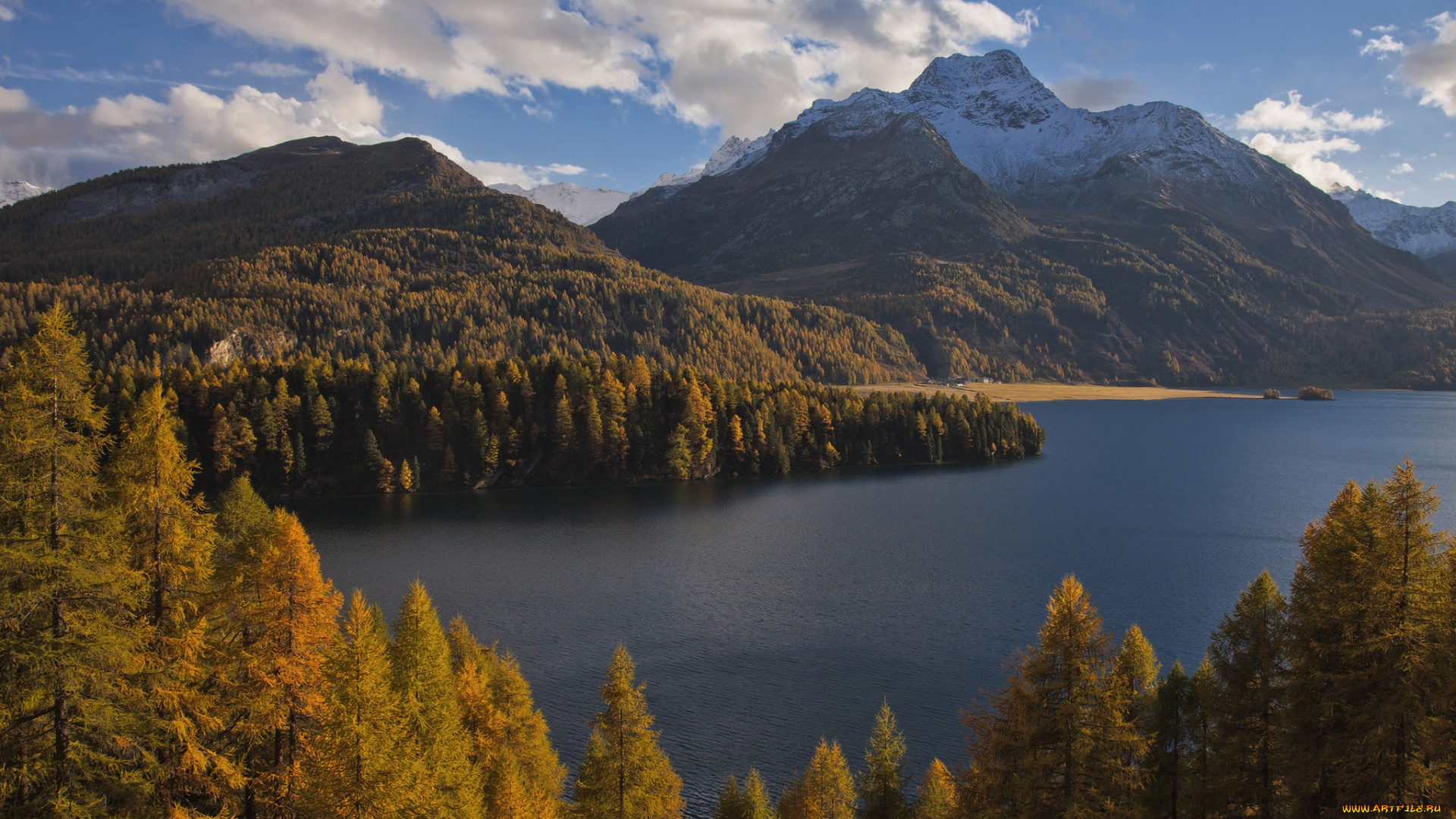 природа, пейзажи, швейцария, альпы, горы, switzerland, lake, sils, зильс-им-энгадин, деревья, озеро, зильс, alps, осень, лес, im, engadin