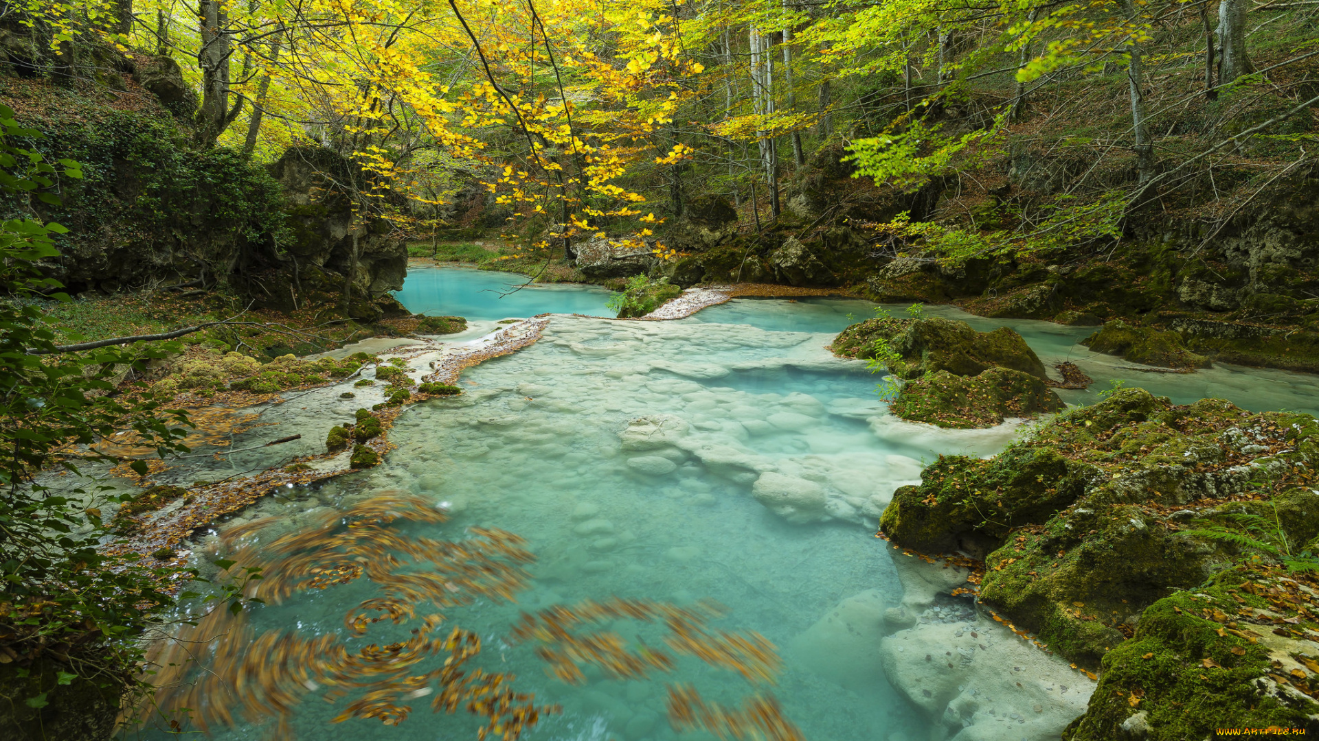 природа, реки, озера, лес, река, поток, вода