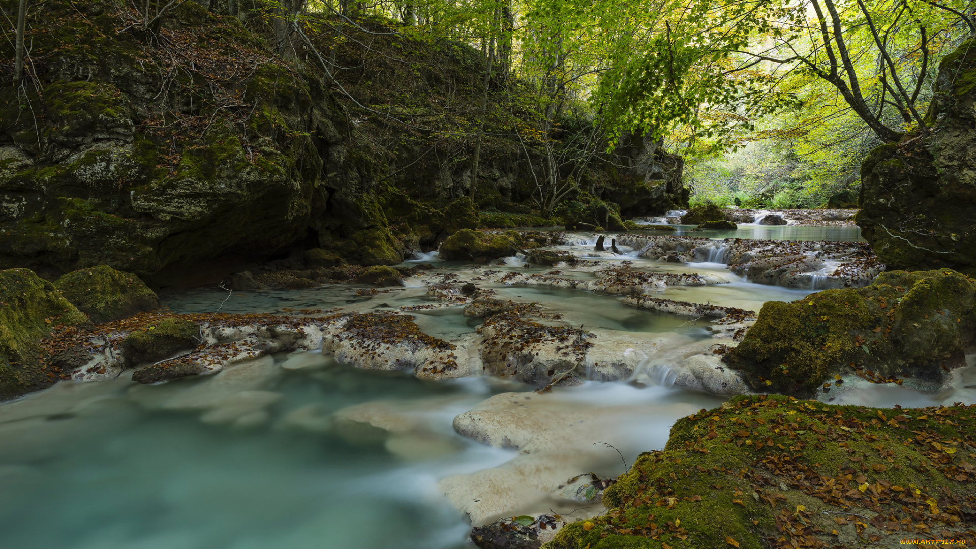 природа, реки, озера, вода, поток, лес, река