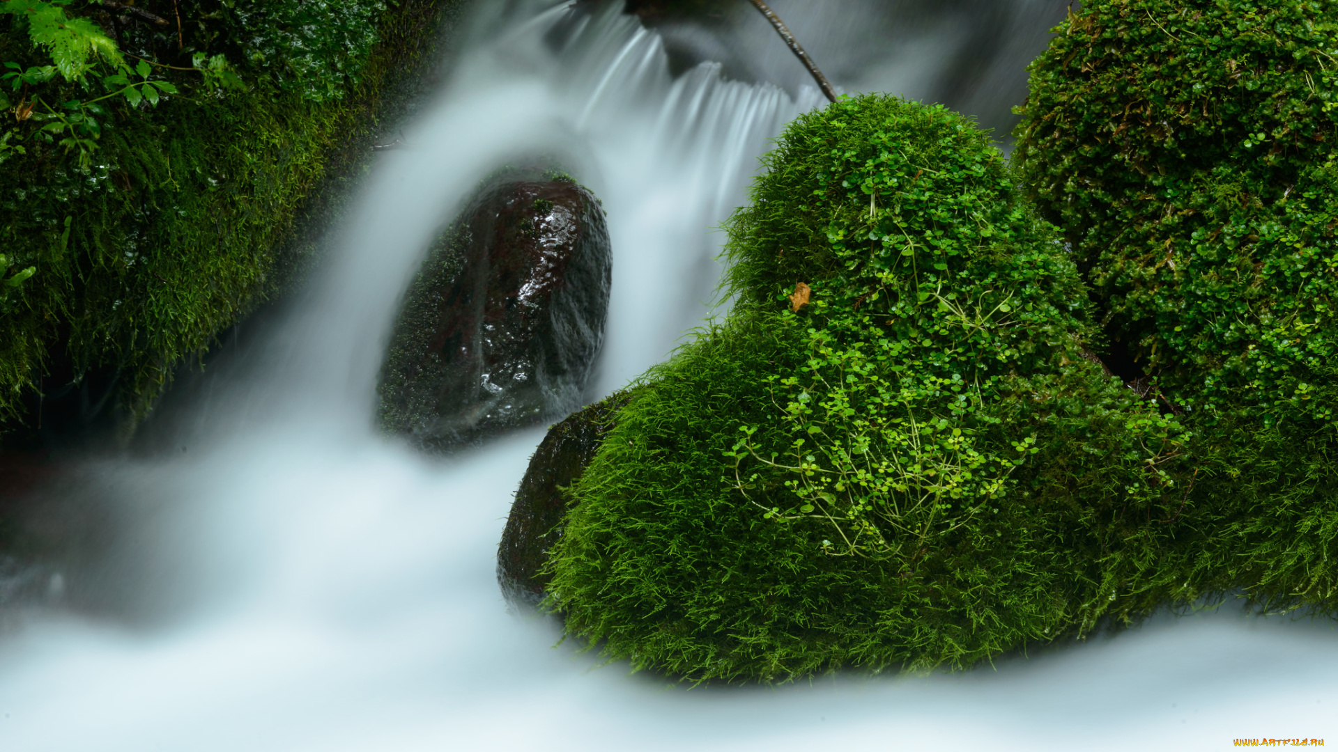 природа, водопады, waterfall, листья, вода, поток, stream, осень, autumn, leaves, водопад, water