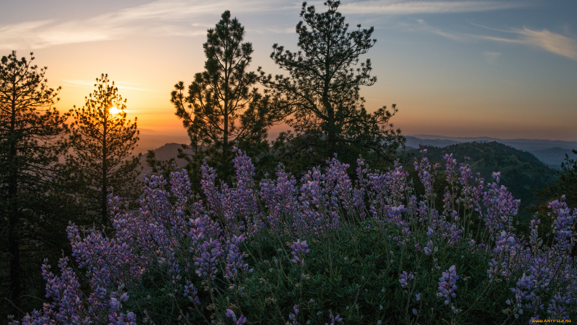 природа, восходы, закаты, простор