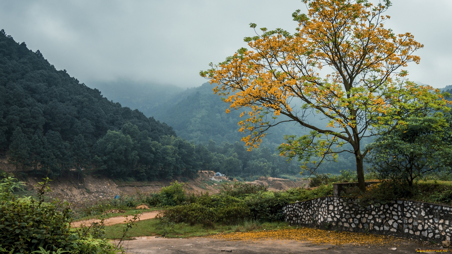 вьетнам, природа, пейзажи, деревья, холмы