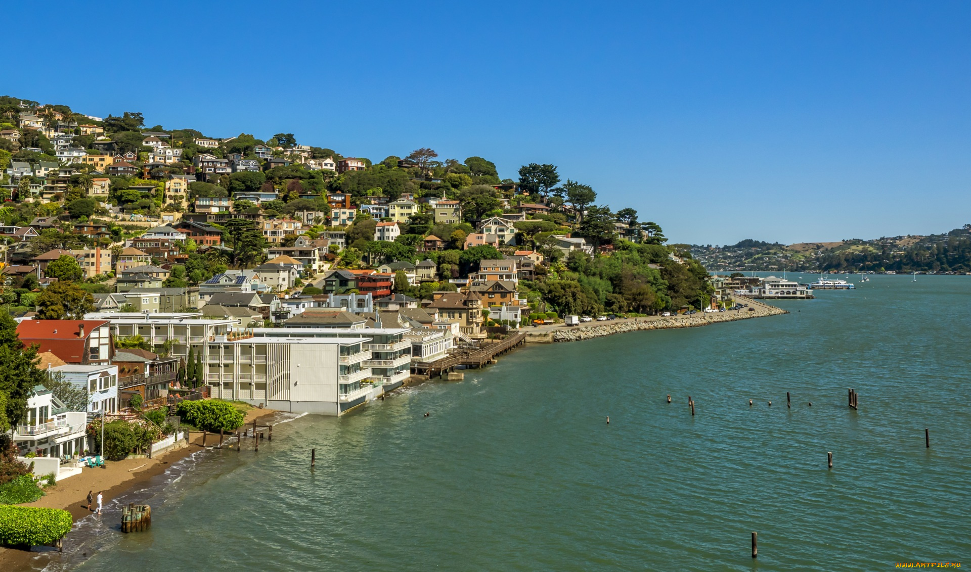 города, -, панорамы, водоем, дома, деревья