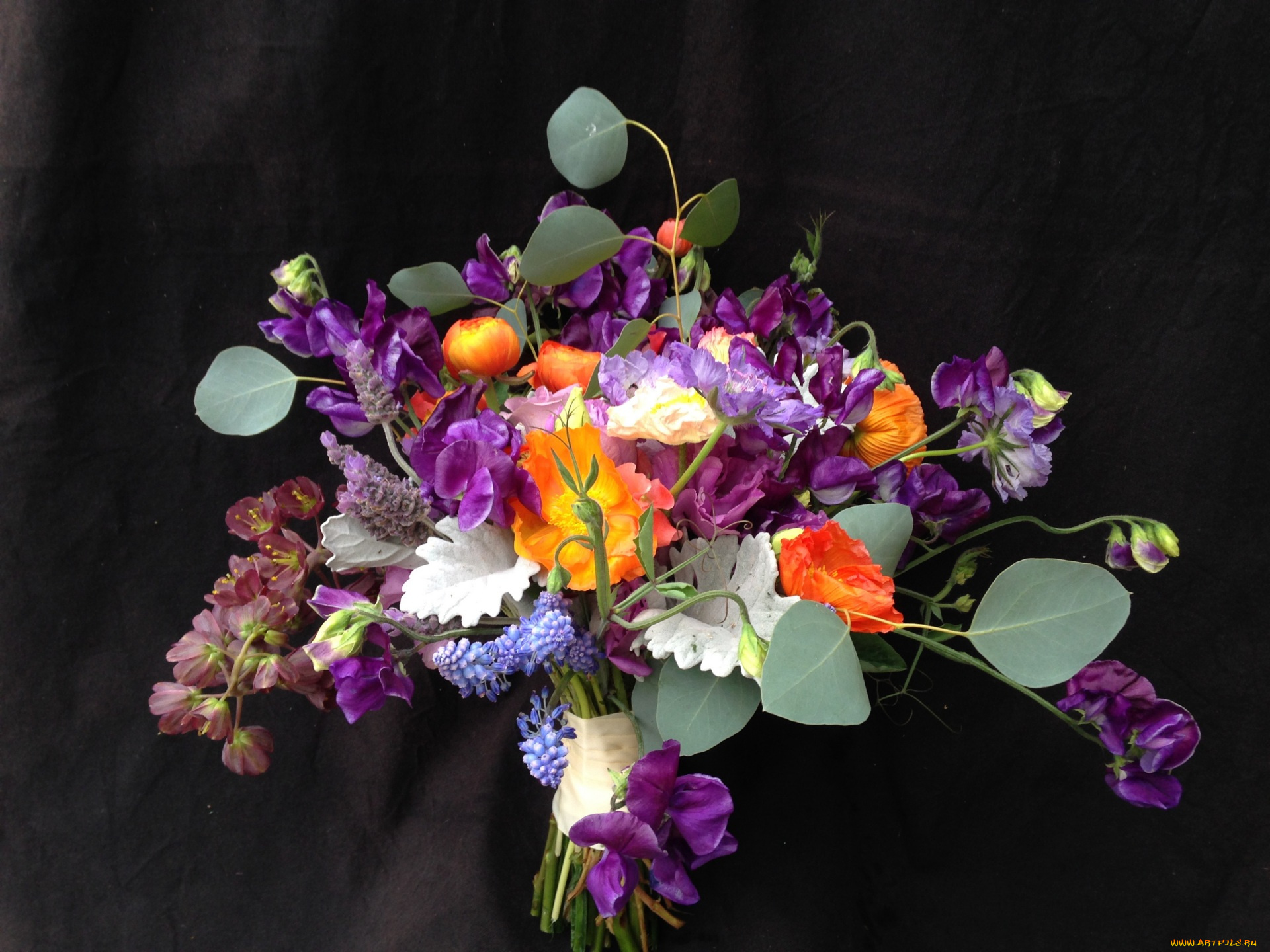 цветы, букеты, , композиции, черный, фон