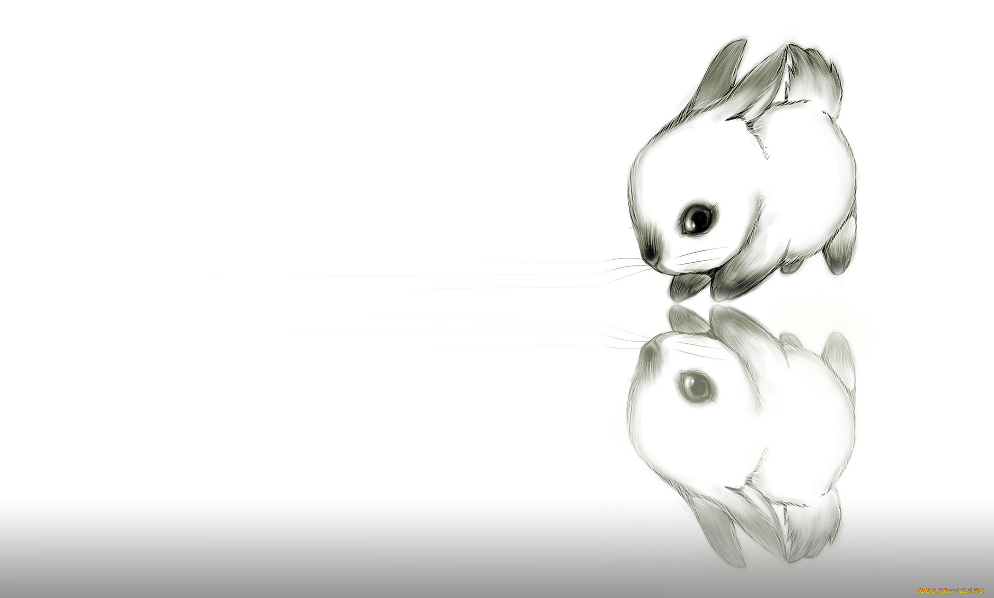 рисованное, животные, , зайцы, , кролики, детская, рисунок, ушки, арт, малыш, карандаш, кролик, картинка, зайчик