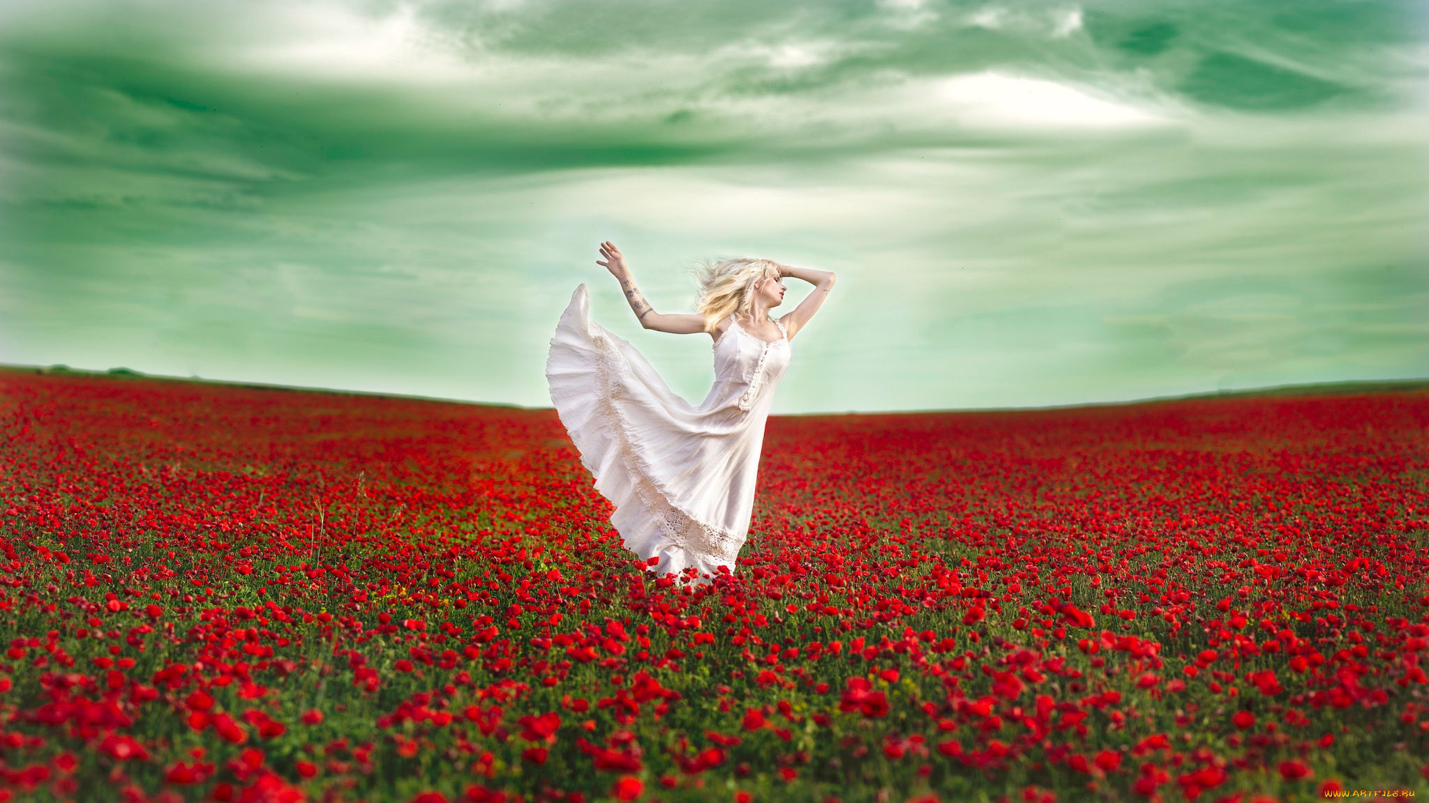 девушки, -unsort, , блондинки, платье, маки, девушка, поле, настроение, танец