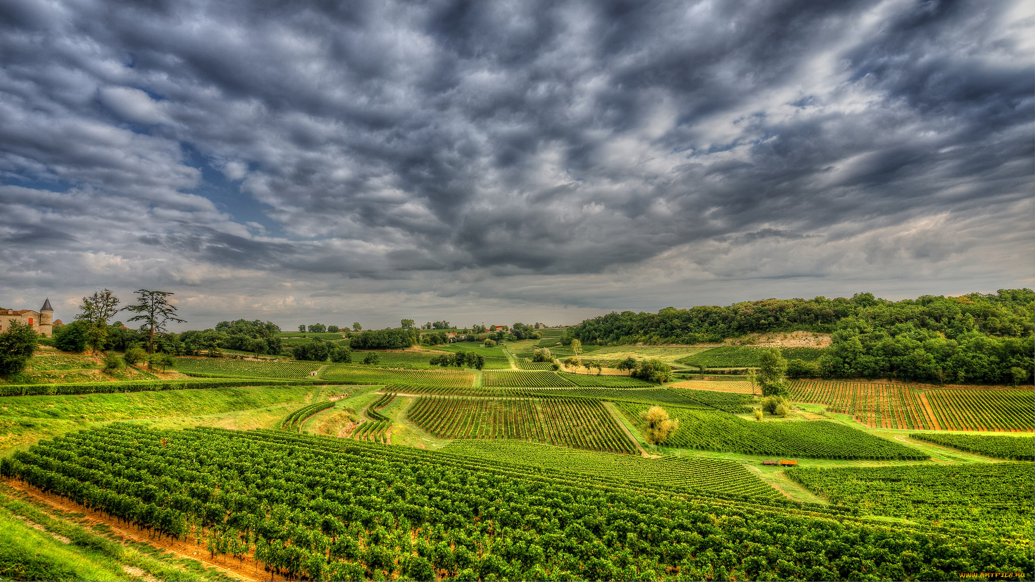 природа, пейзажи, простор